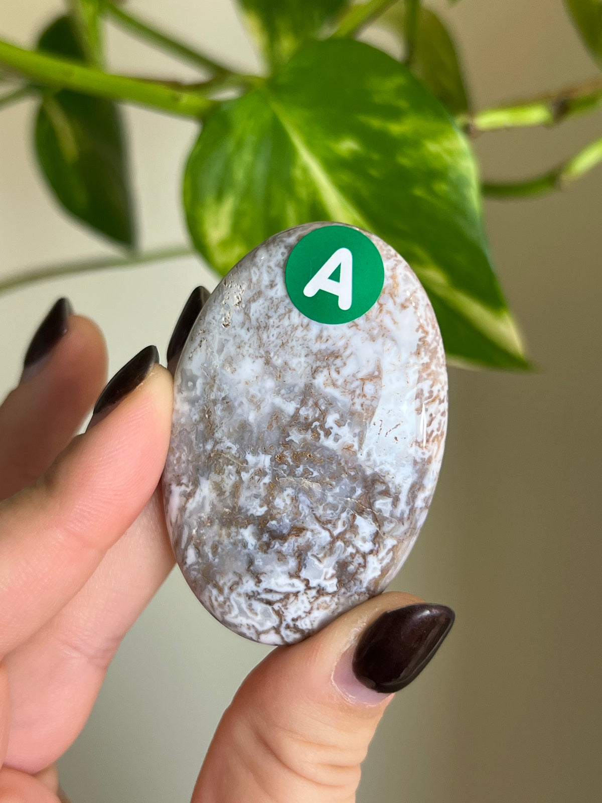 White Moss Agate Small Palm Stone - A