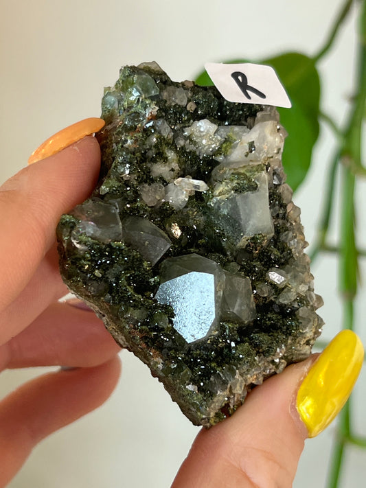 Forest Epidote Quartz Cluster - R