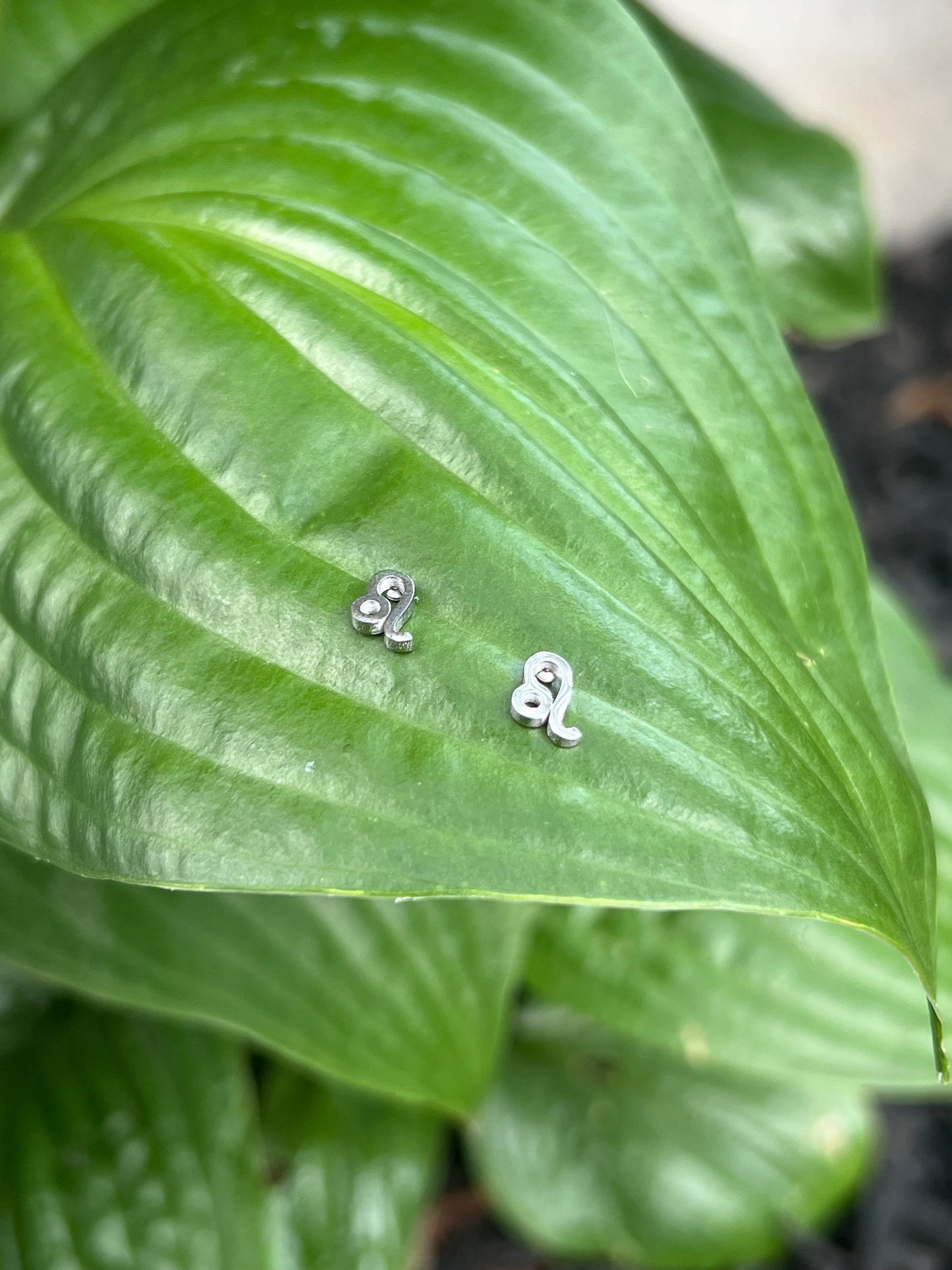 Leo Silver Zodiac Sign Studs ♌️