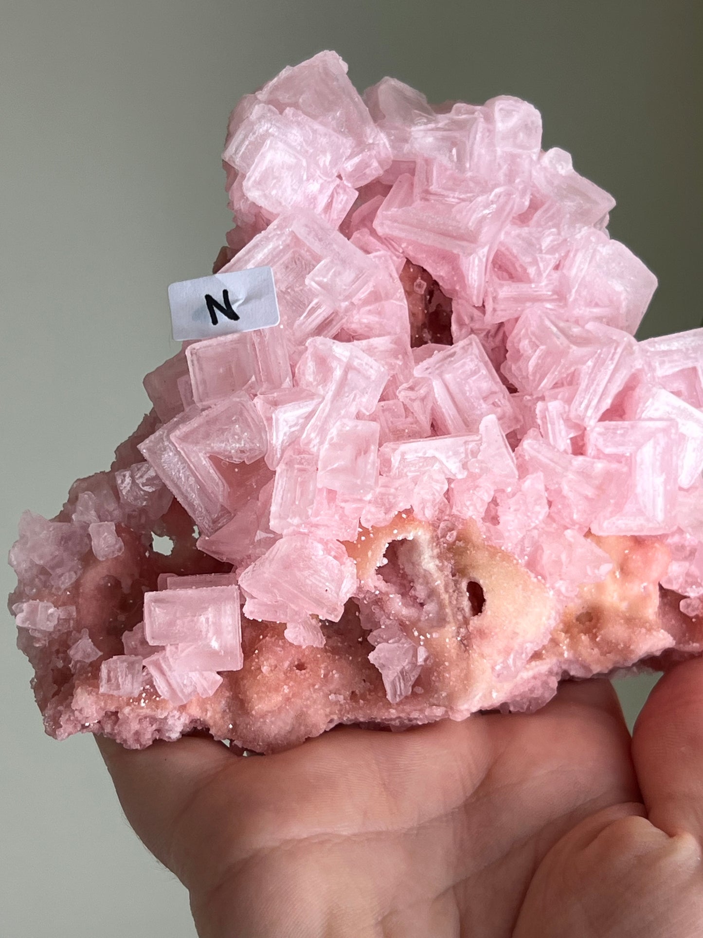 Pink Halite Specimen - XLarge - N