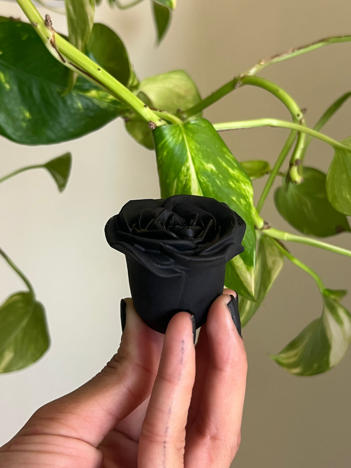 Black Obsidian Rose on Stand