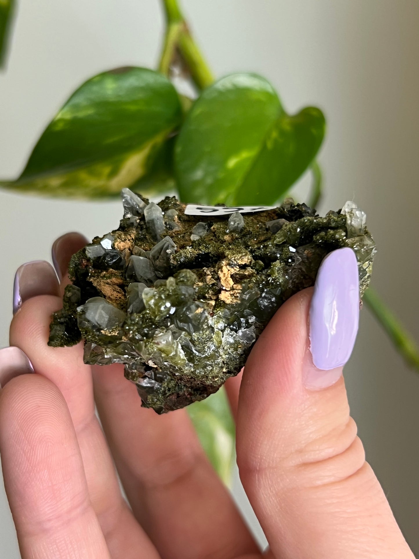 Forest Epidote Quartz Cluster - X