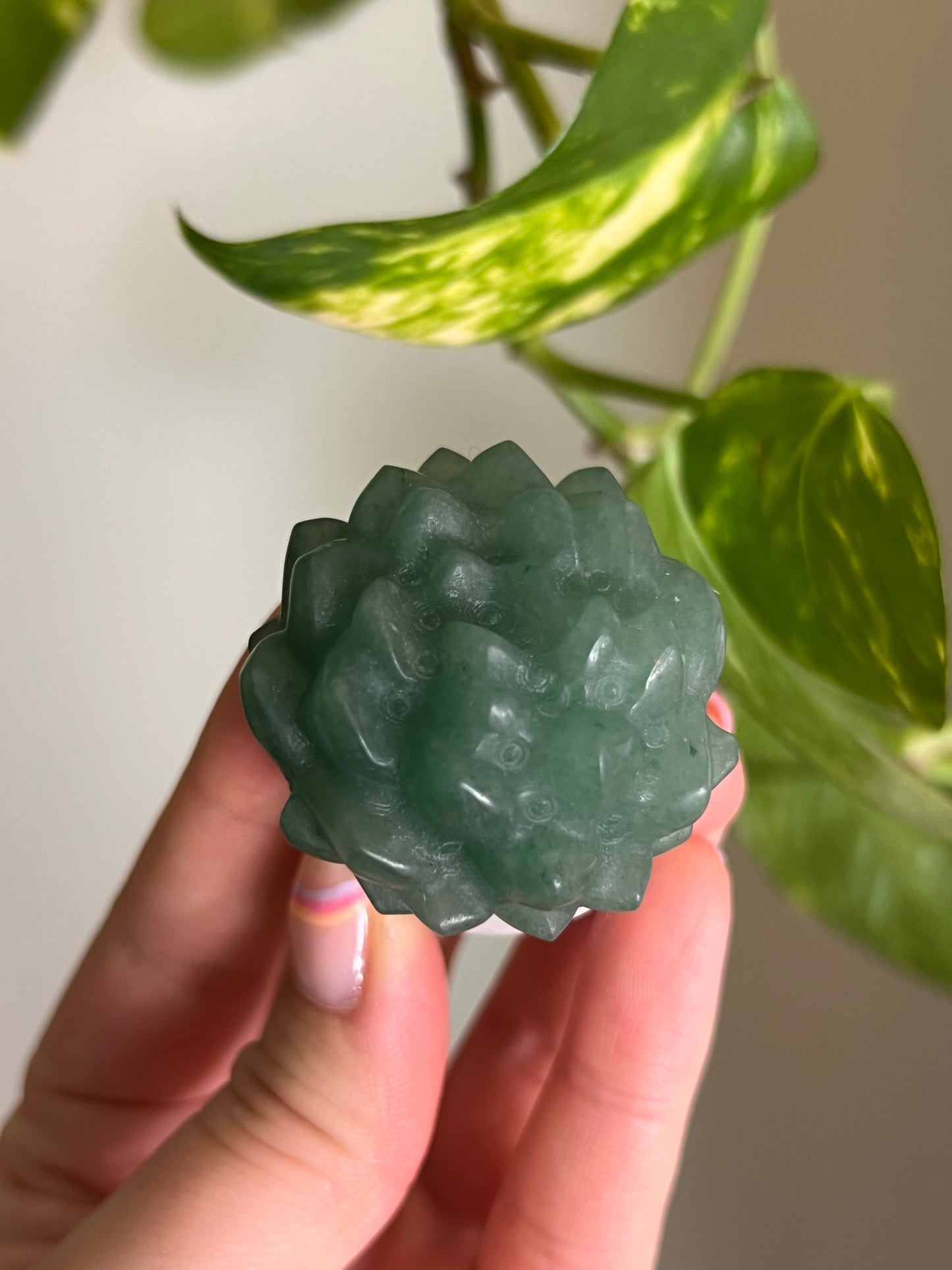 Green Aventurine Succulent + White Jade Pot