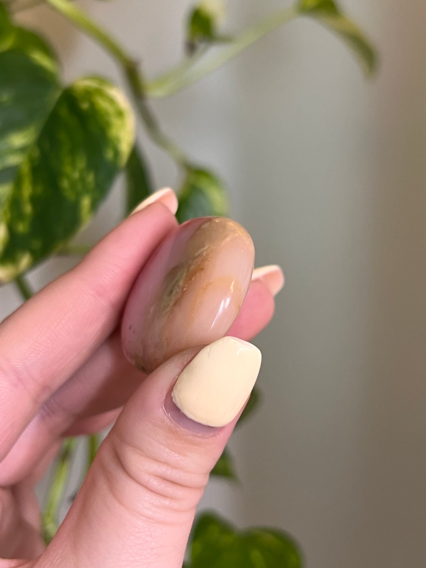 Peruvian Pink Opal Button