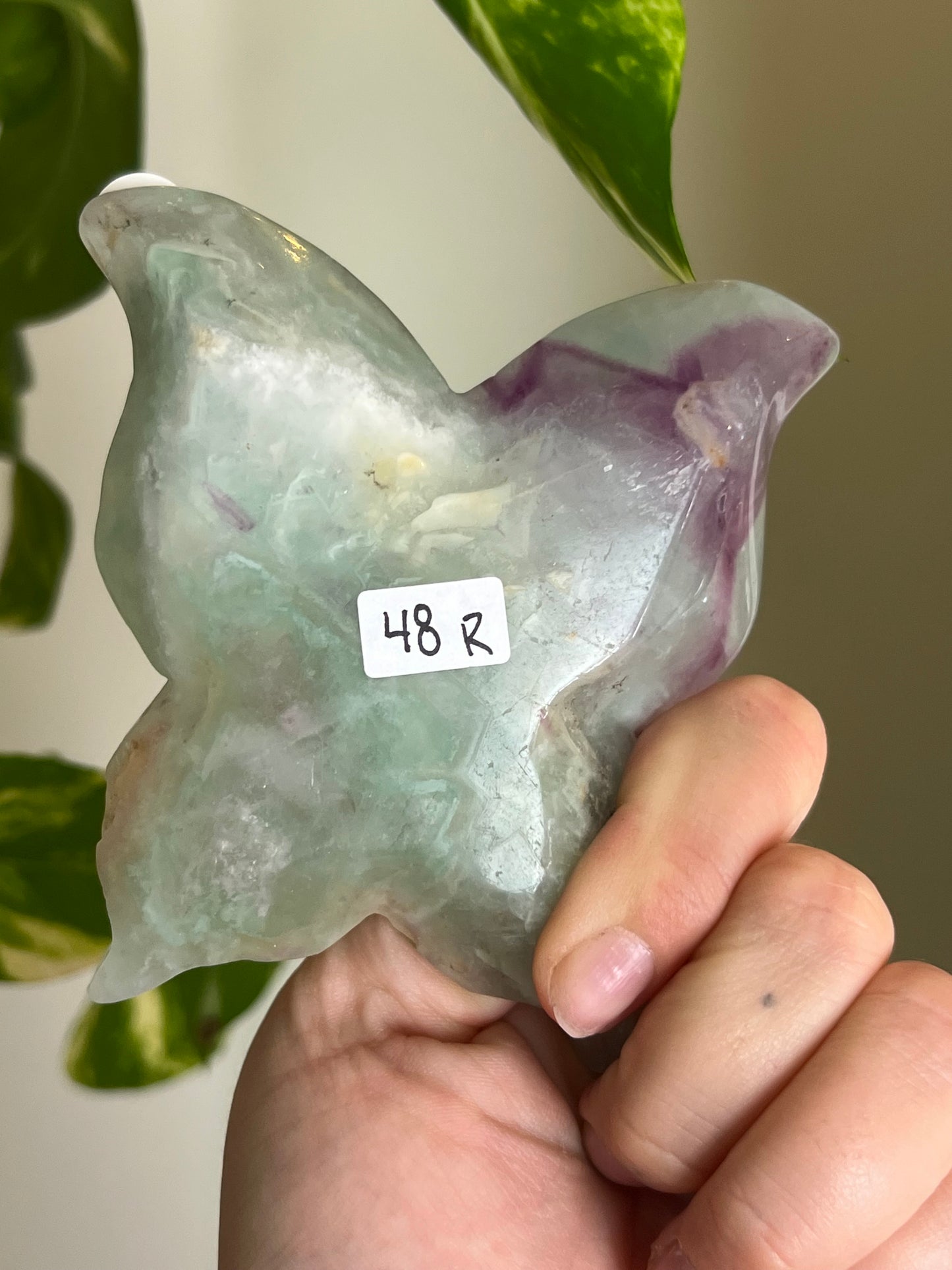 Rainbow Fluorite Butterfly Dish - R