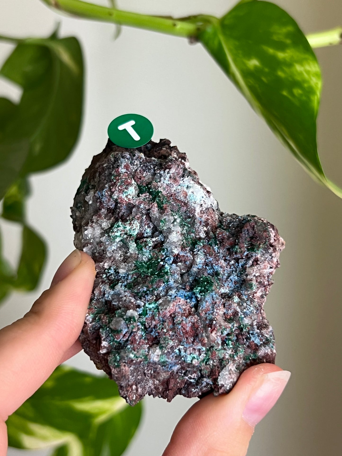 Druzy Malachite with Chrysocolla + Dolomite Sparkly Cluster - T