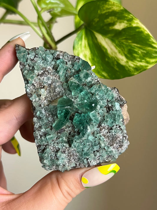 Green Cubic Fluorite Cluster - N