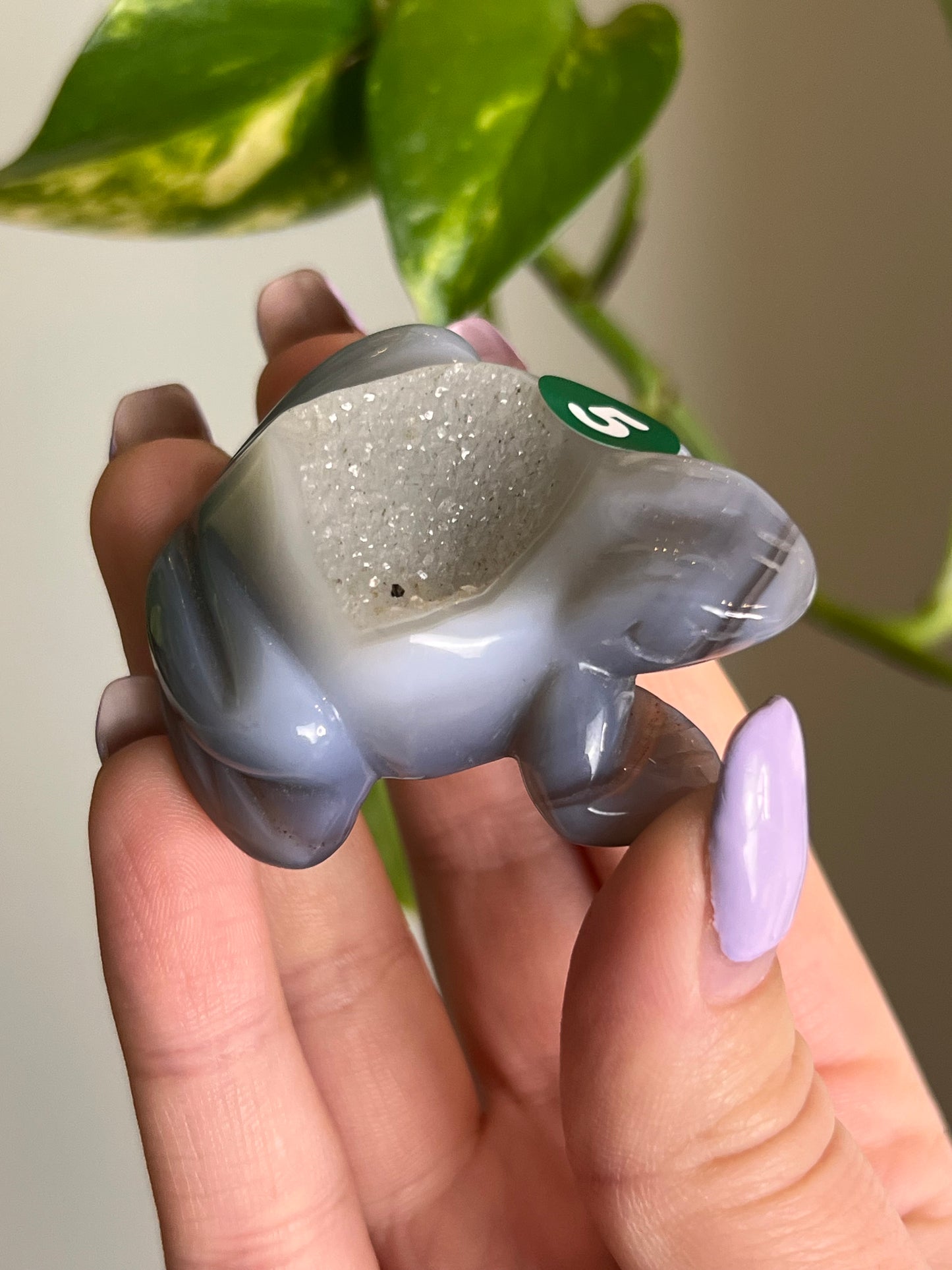 Druzy Agate Frog - 5