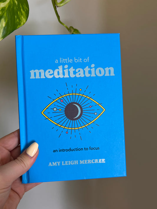 A Little Bit of Meditation Book