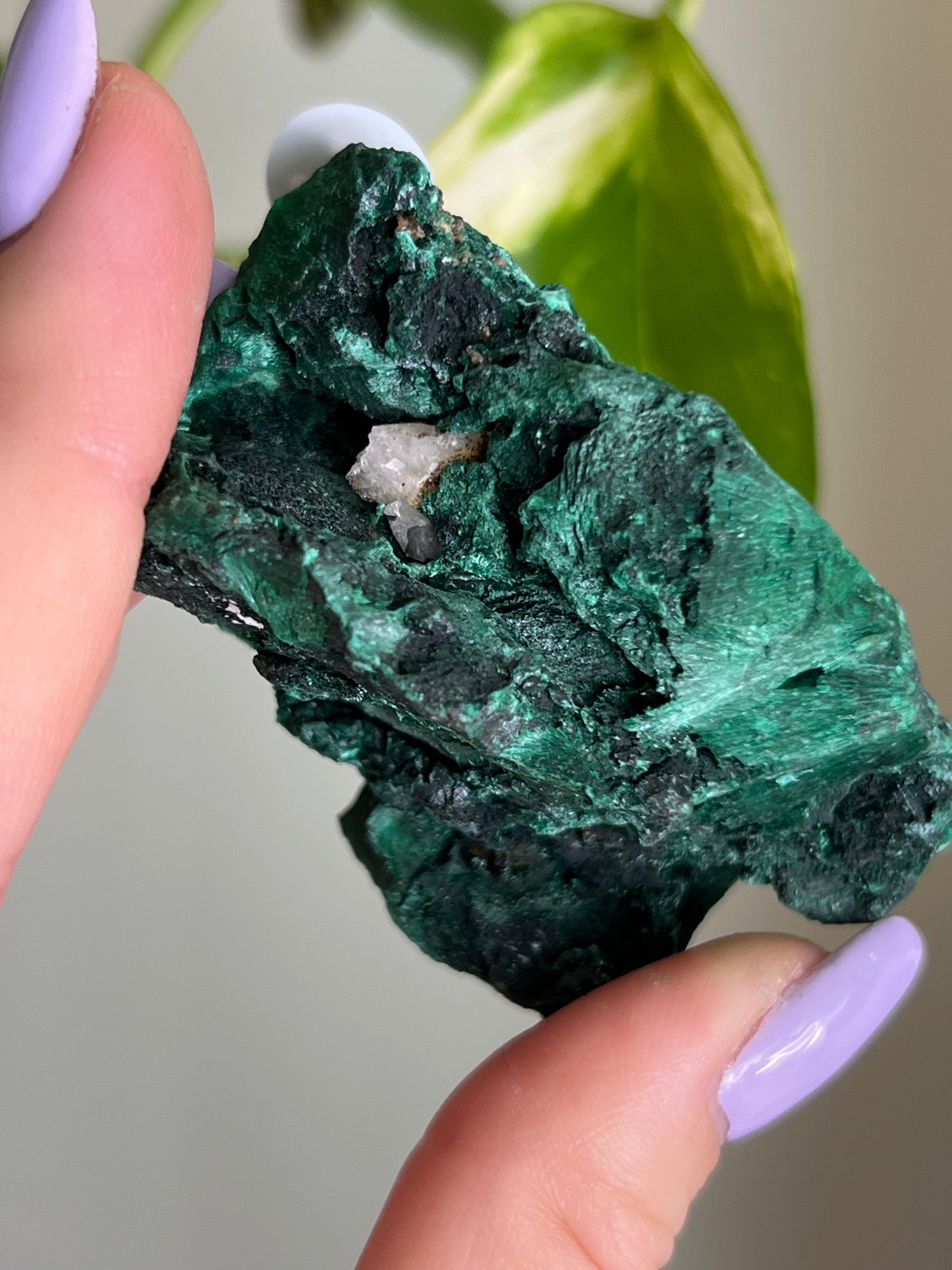 Fibrous Malachite - N