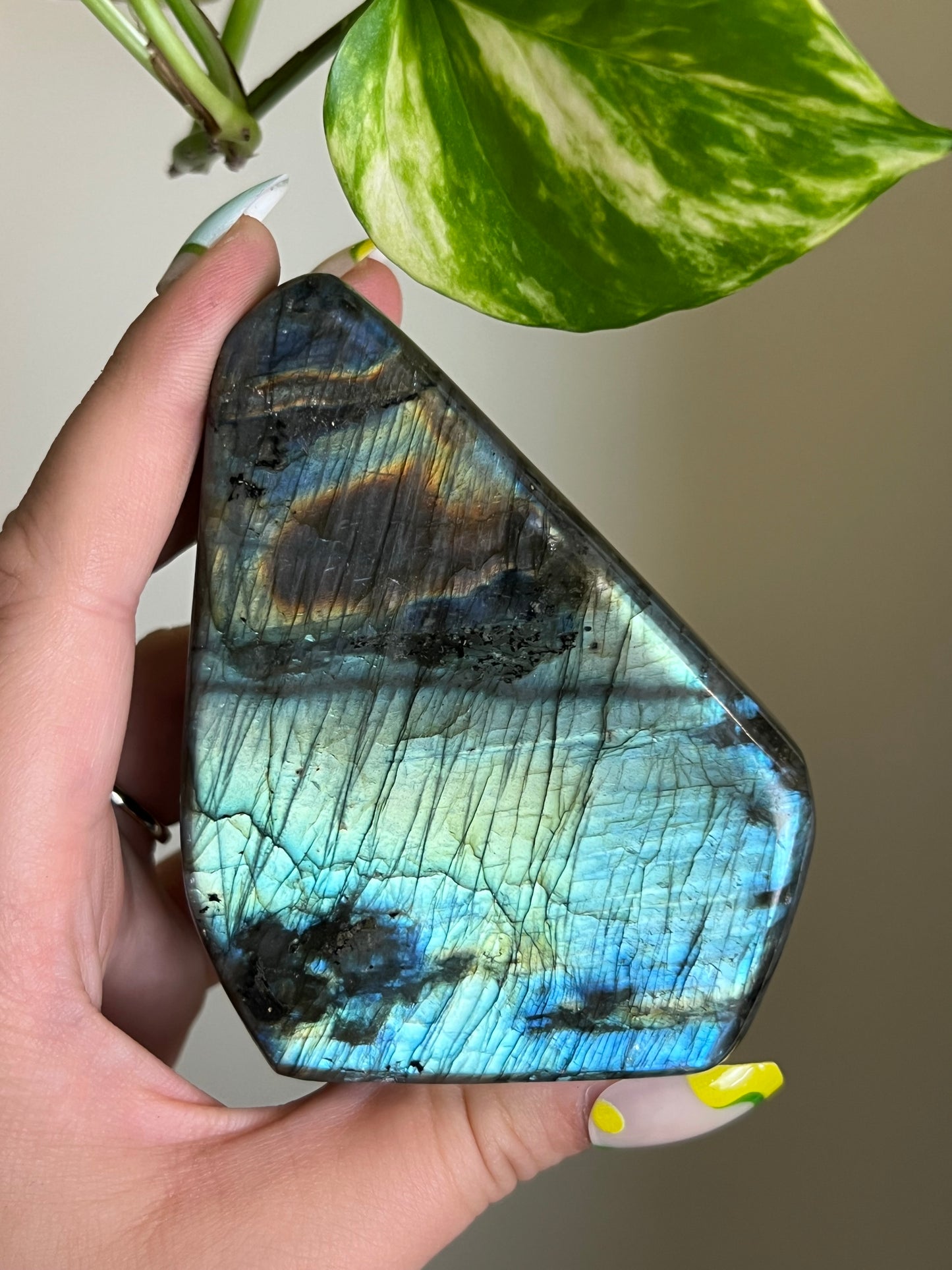 Flashy Labradorite Freeform - Y