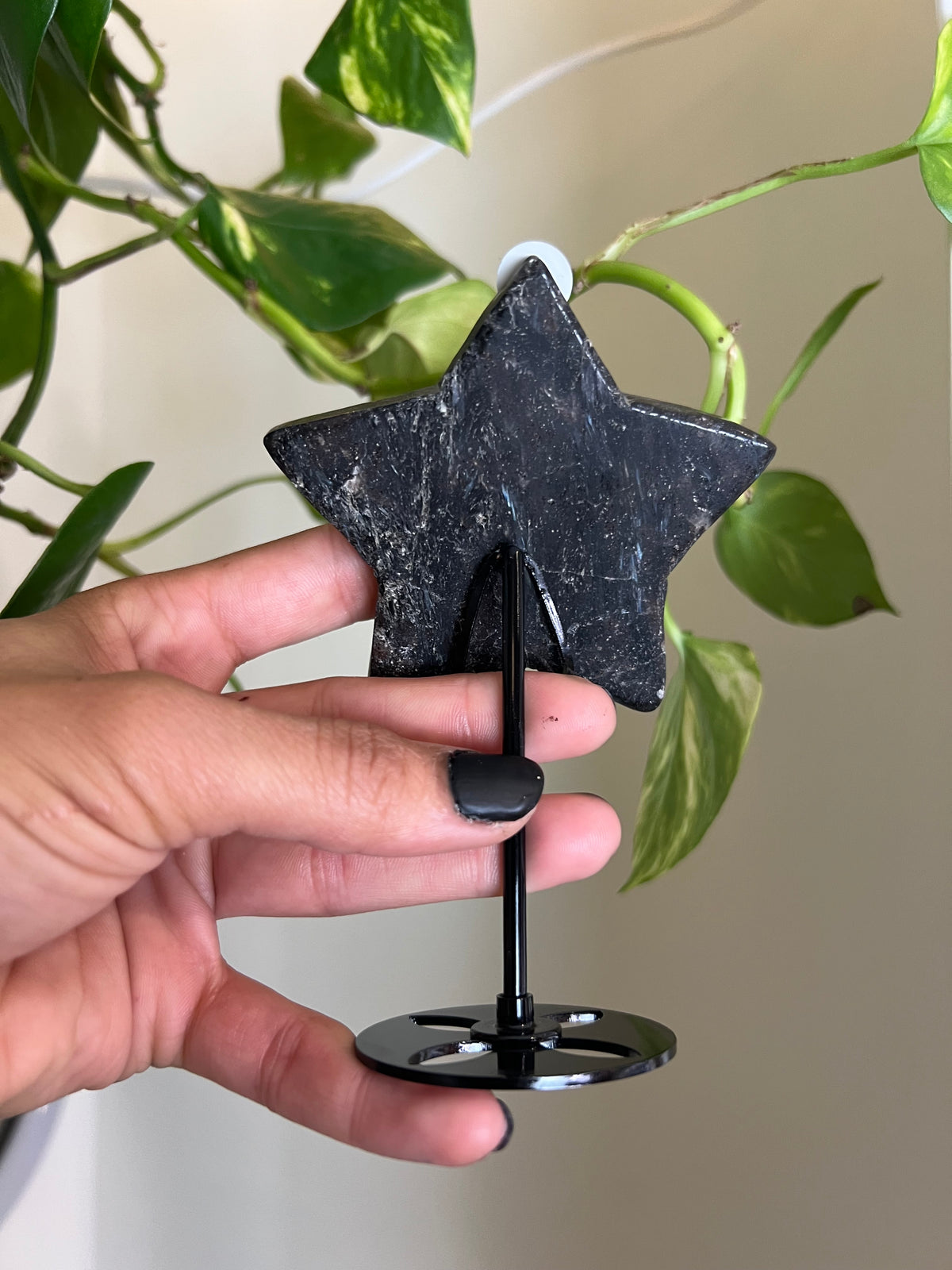 Flashy Astrophyllite Star on Stand - 3