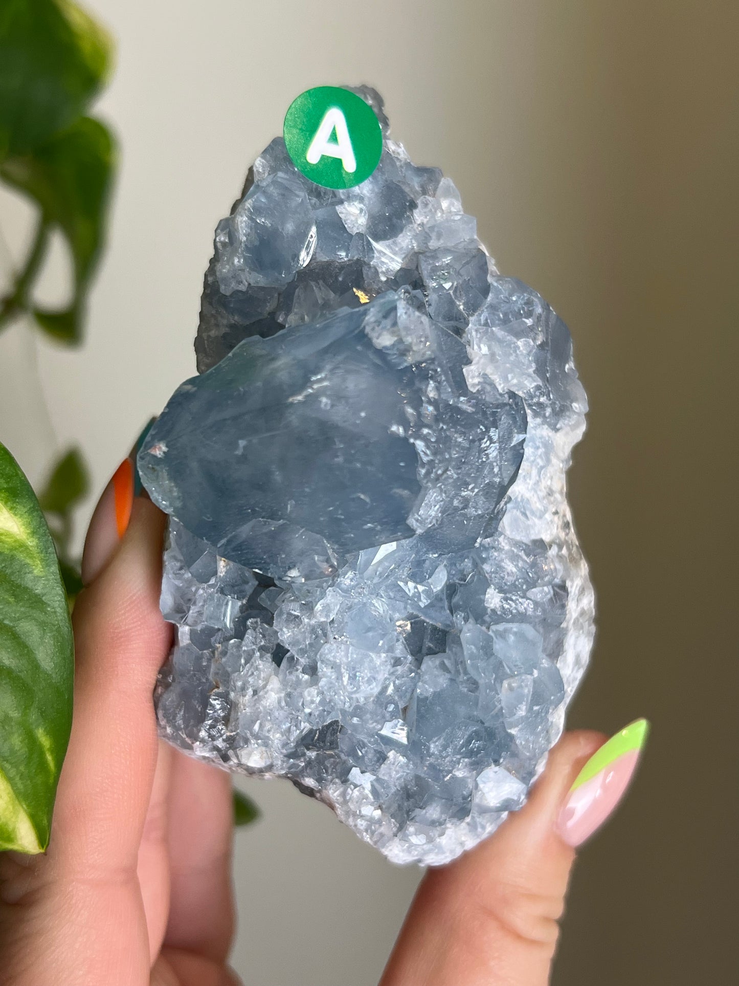 Celestite Cluster - A 🌊