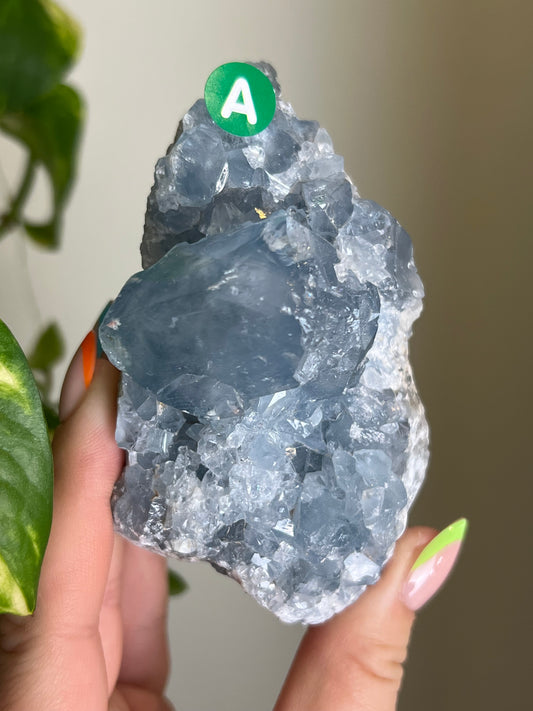 Celestite Cluster - A 🌊