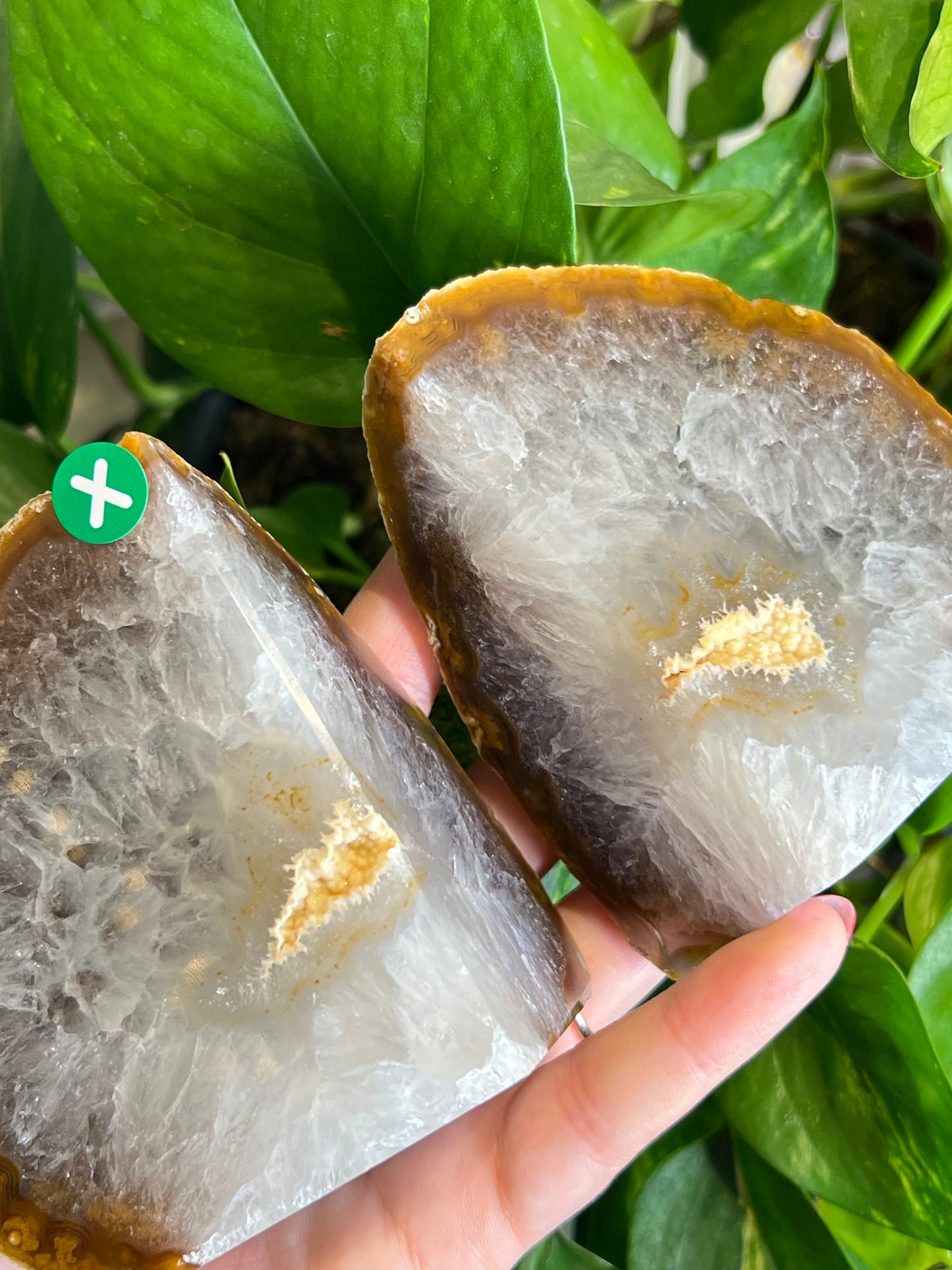 Agate Druzy Bookends - X