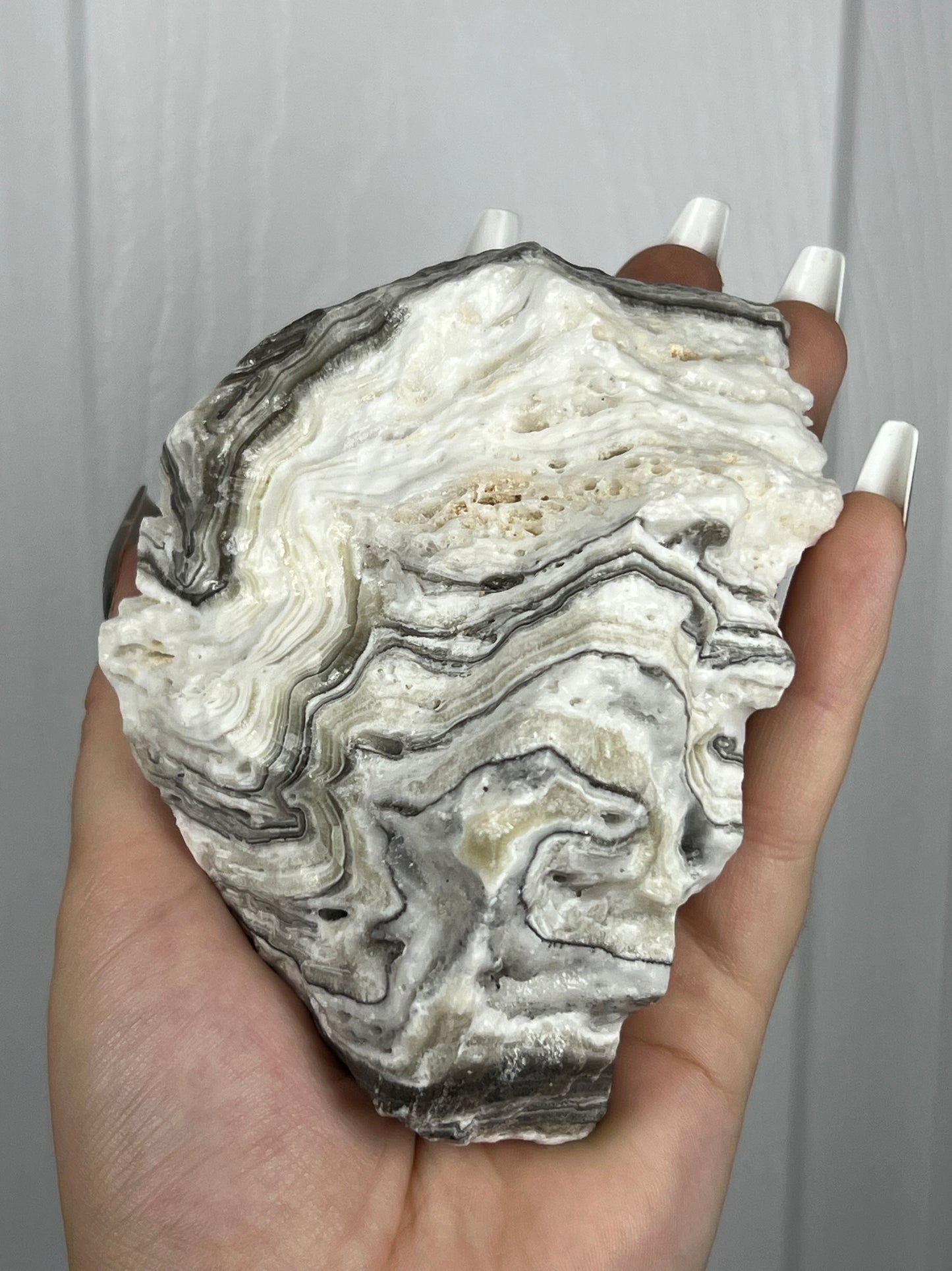 Zebra Calcite - Large