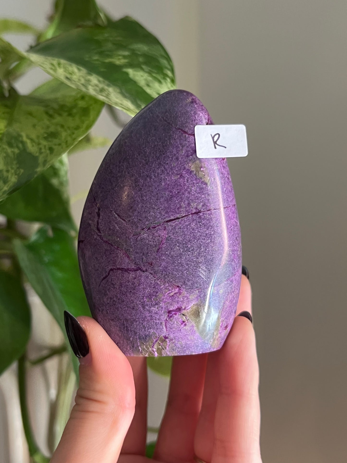 Purple Stichtite and Serpentine (Atlantisite) Freeform | Choose Your Own