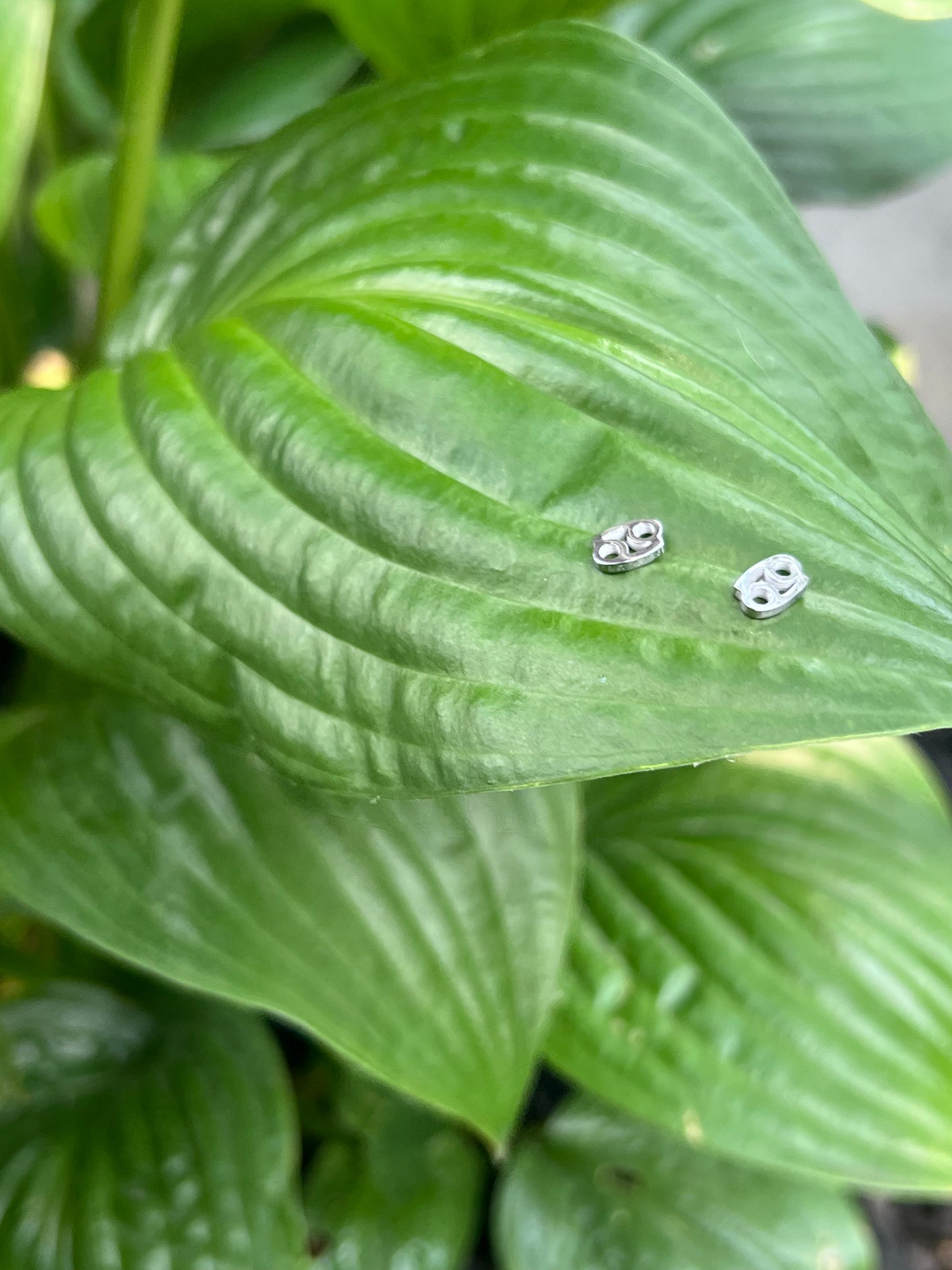 Cancer Silver Zodiac Sign Studs ♋️