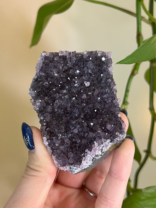 Amethyst Cluster - A