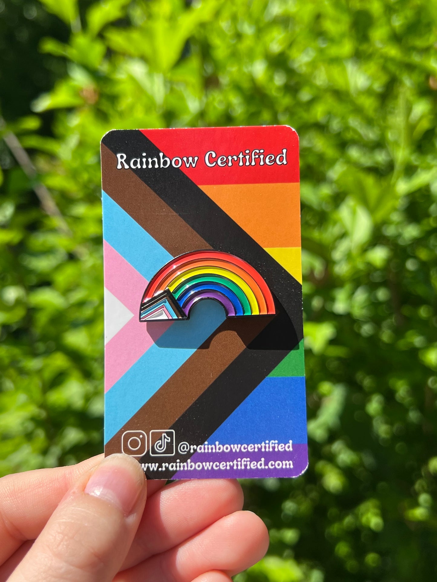 Rainbow Pride Flag Pins