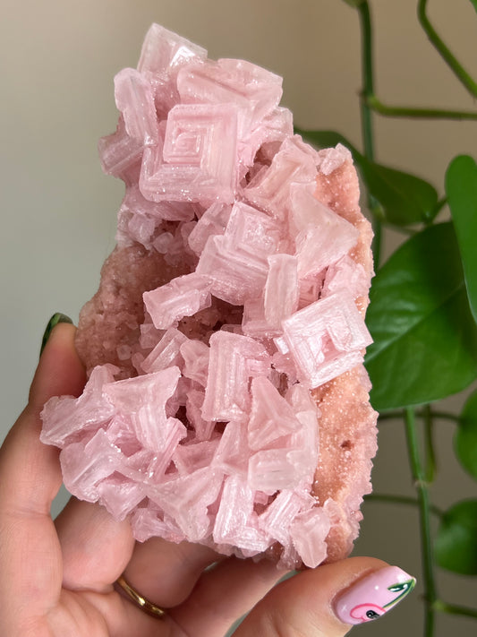 Pink Halite Specimen