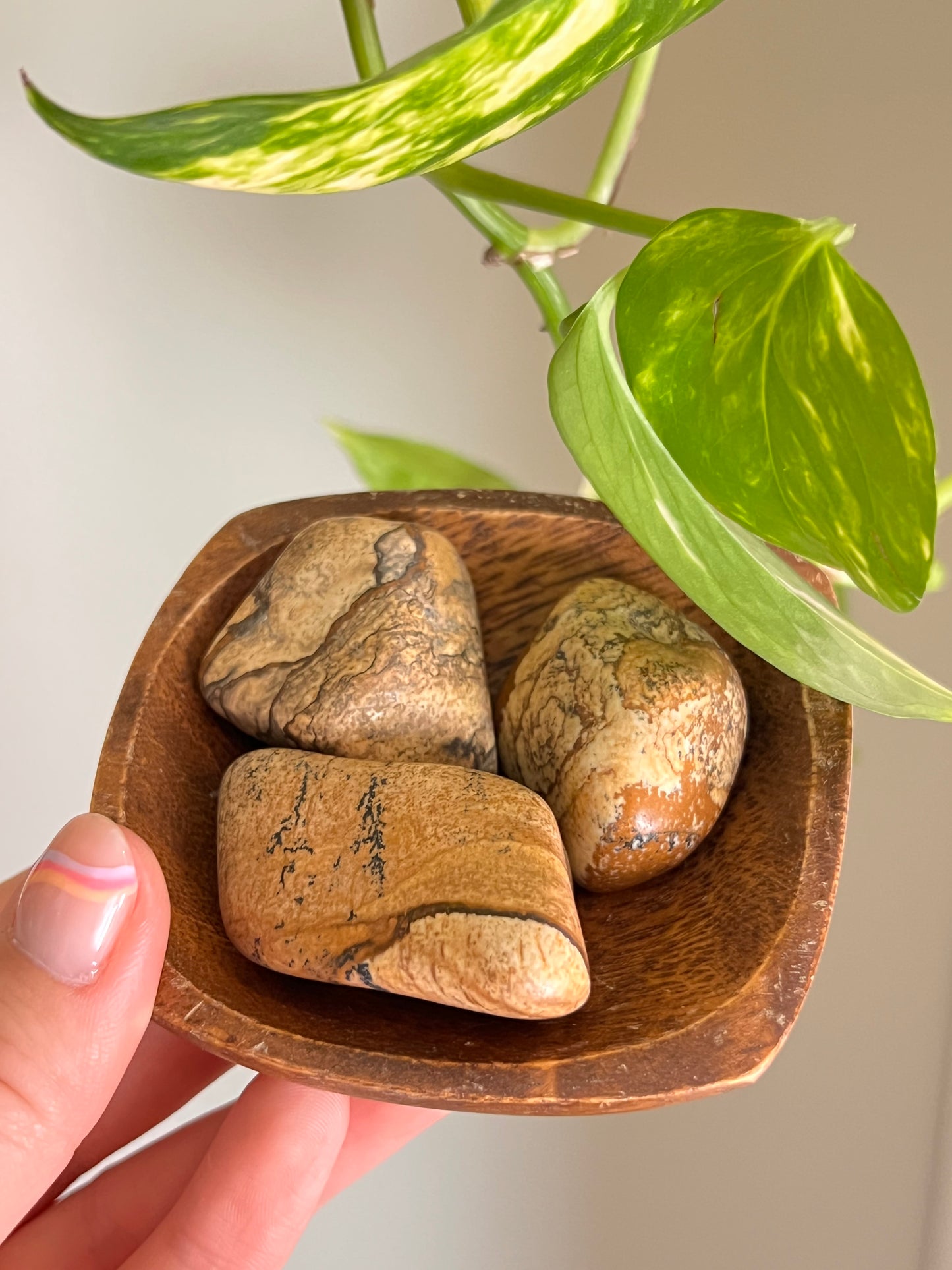 Picture Jasper Tumbled