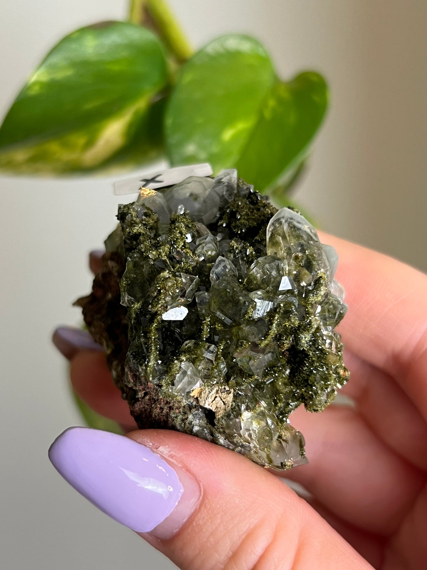 Forest Epidote Quartz Cluster - X