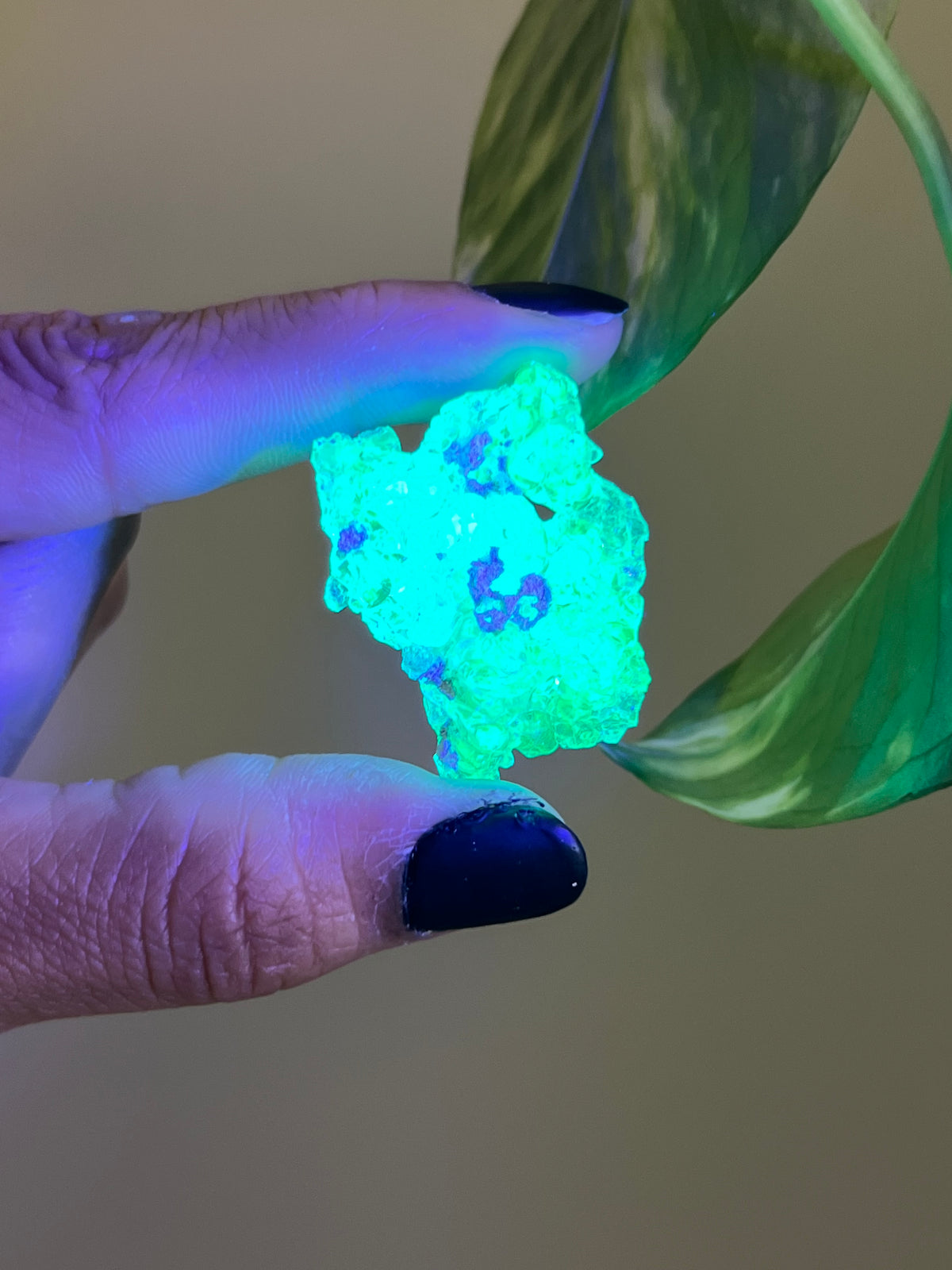 UV Reactive Hyalite Opal - H