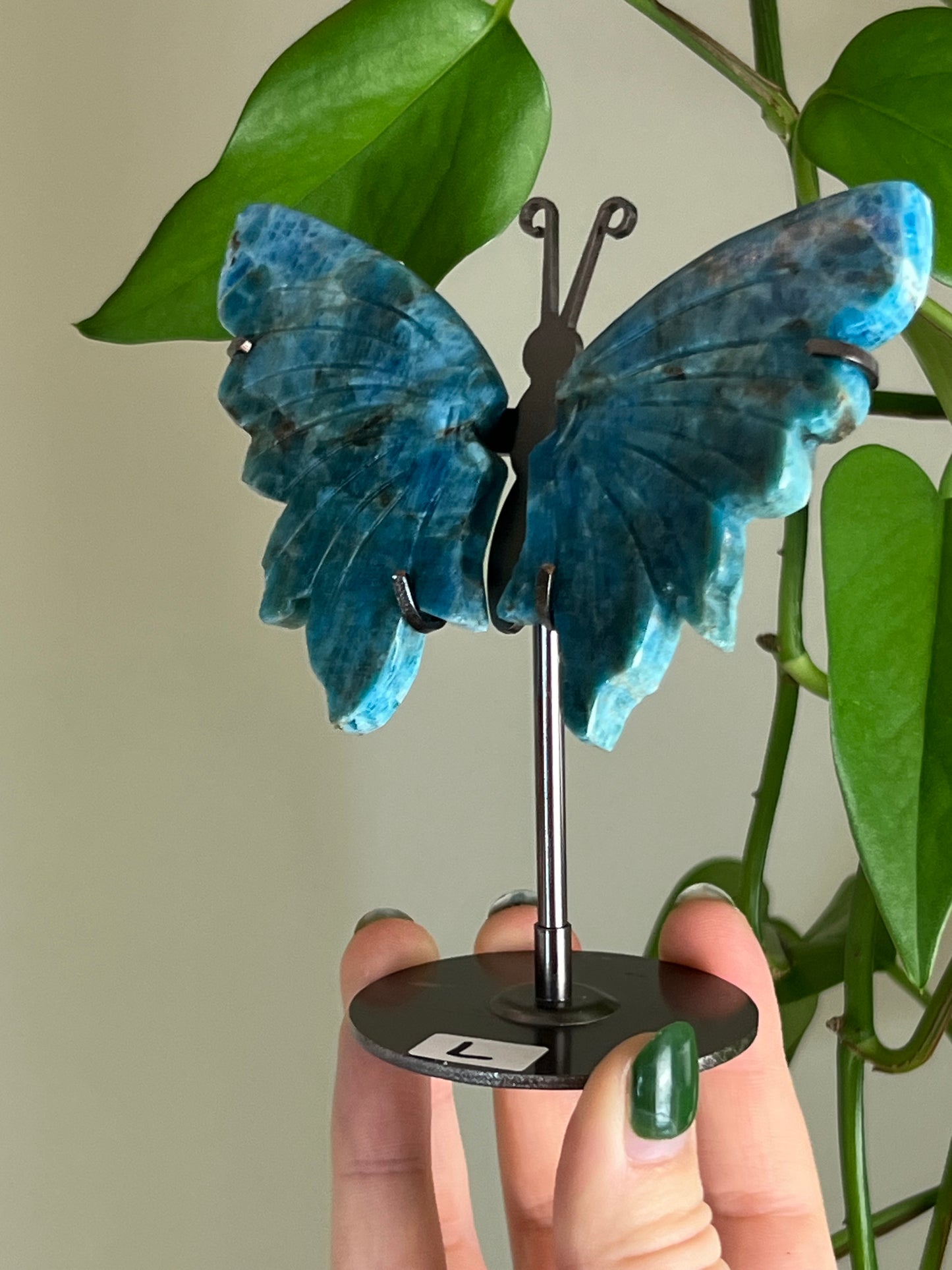 Blue Apatite Butterfly Stand L