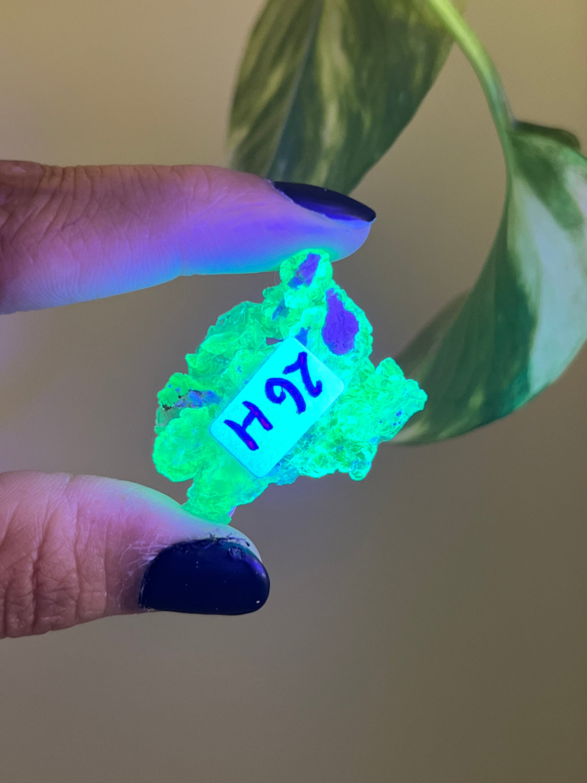 UV Reactive Hyalite Opal - H