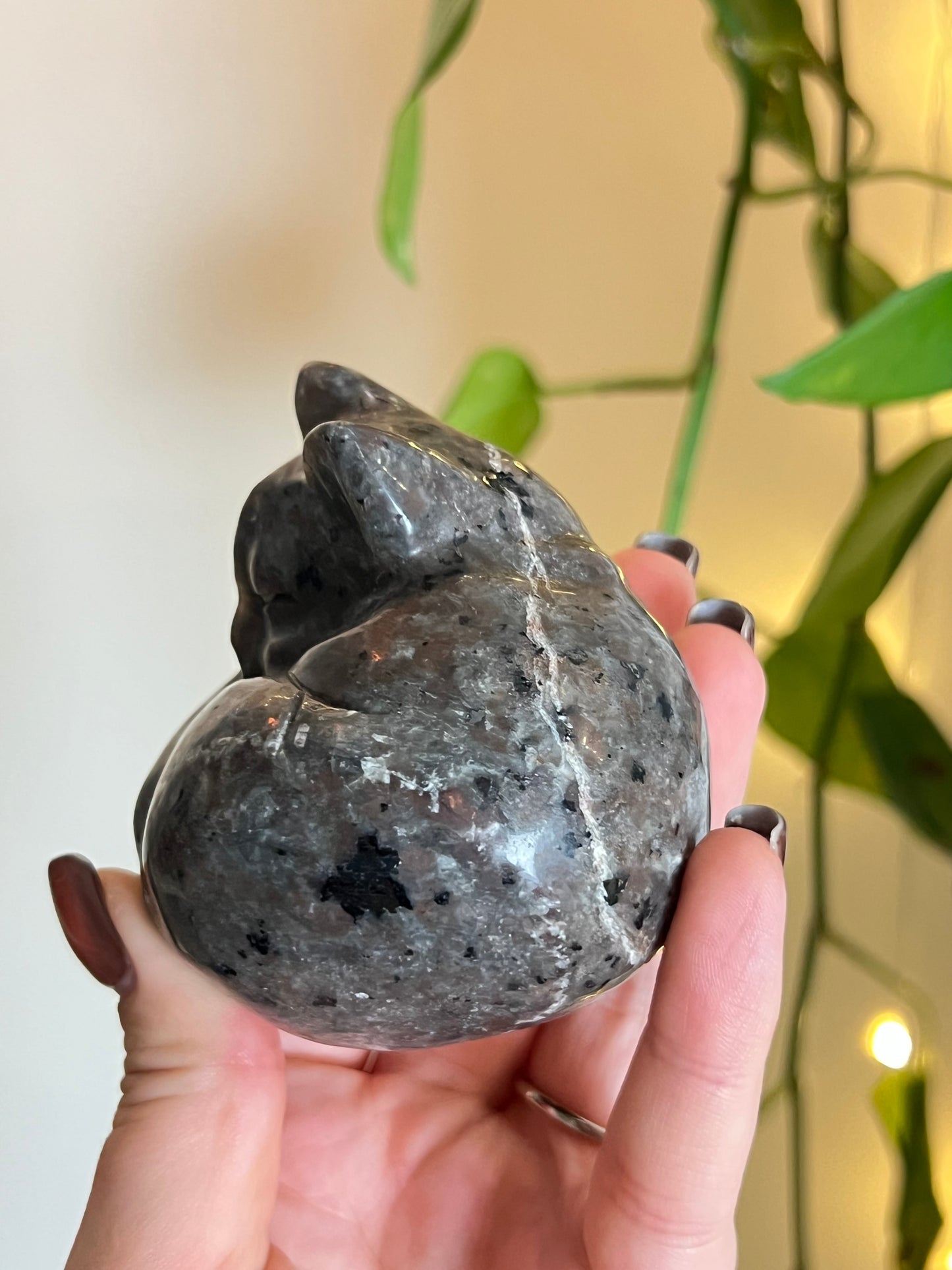 Yooperlite Large Sleeping Cat