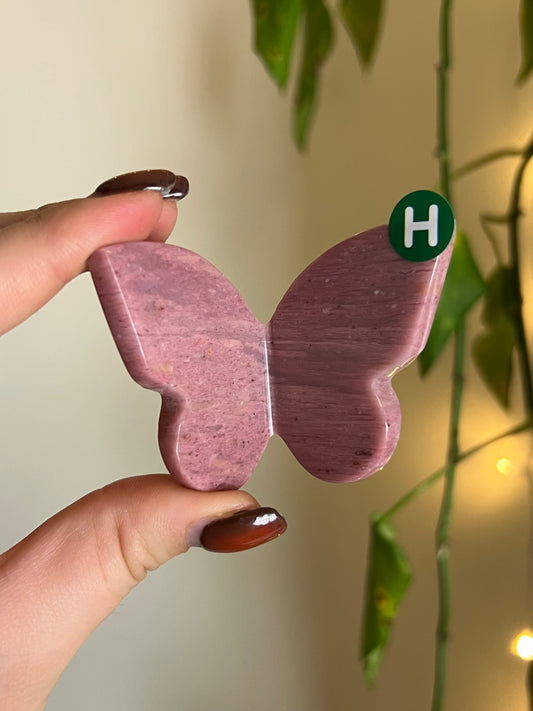 Pink Petrified Wood 3D Butterfly - H