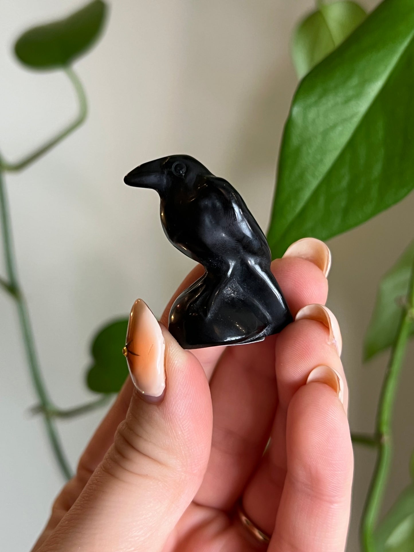 Black Obsidian Raven