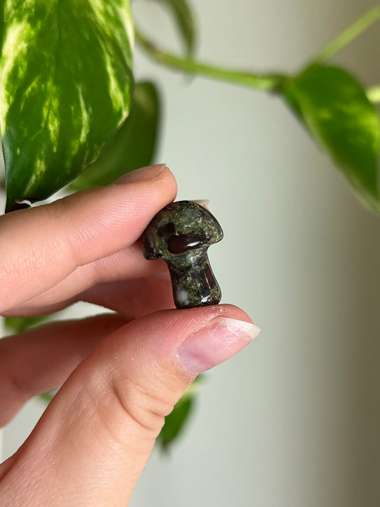 Dragons Blood Jasper Mini Mushie