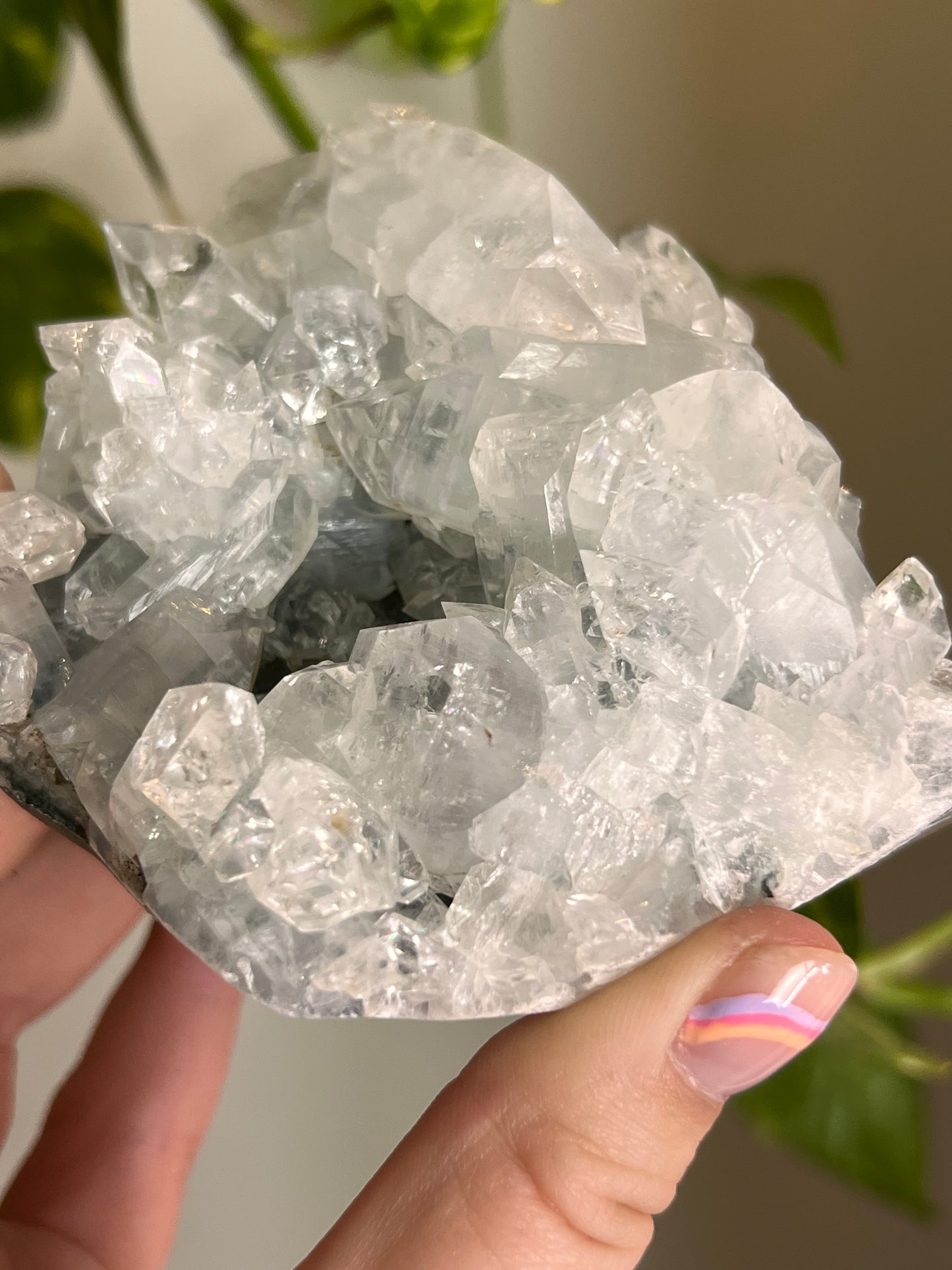 Apophyllite Cluster - Y