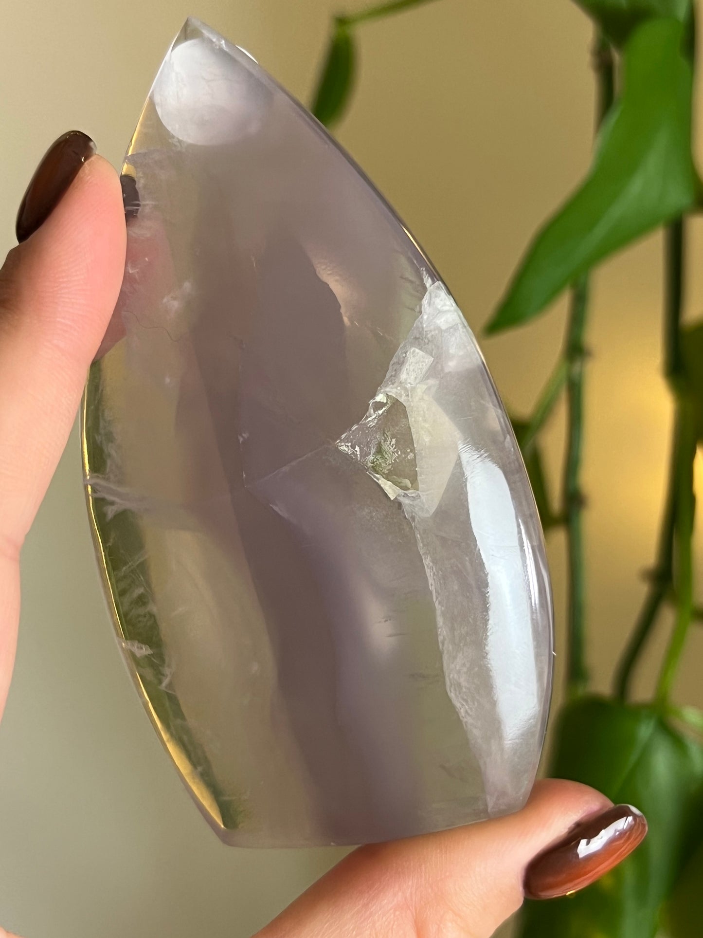 Pastel Fluorite Freeform - W