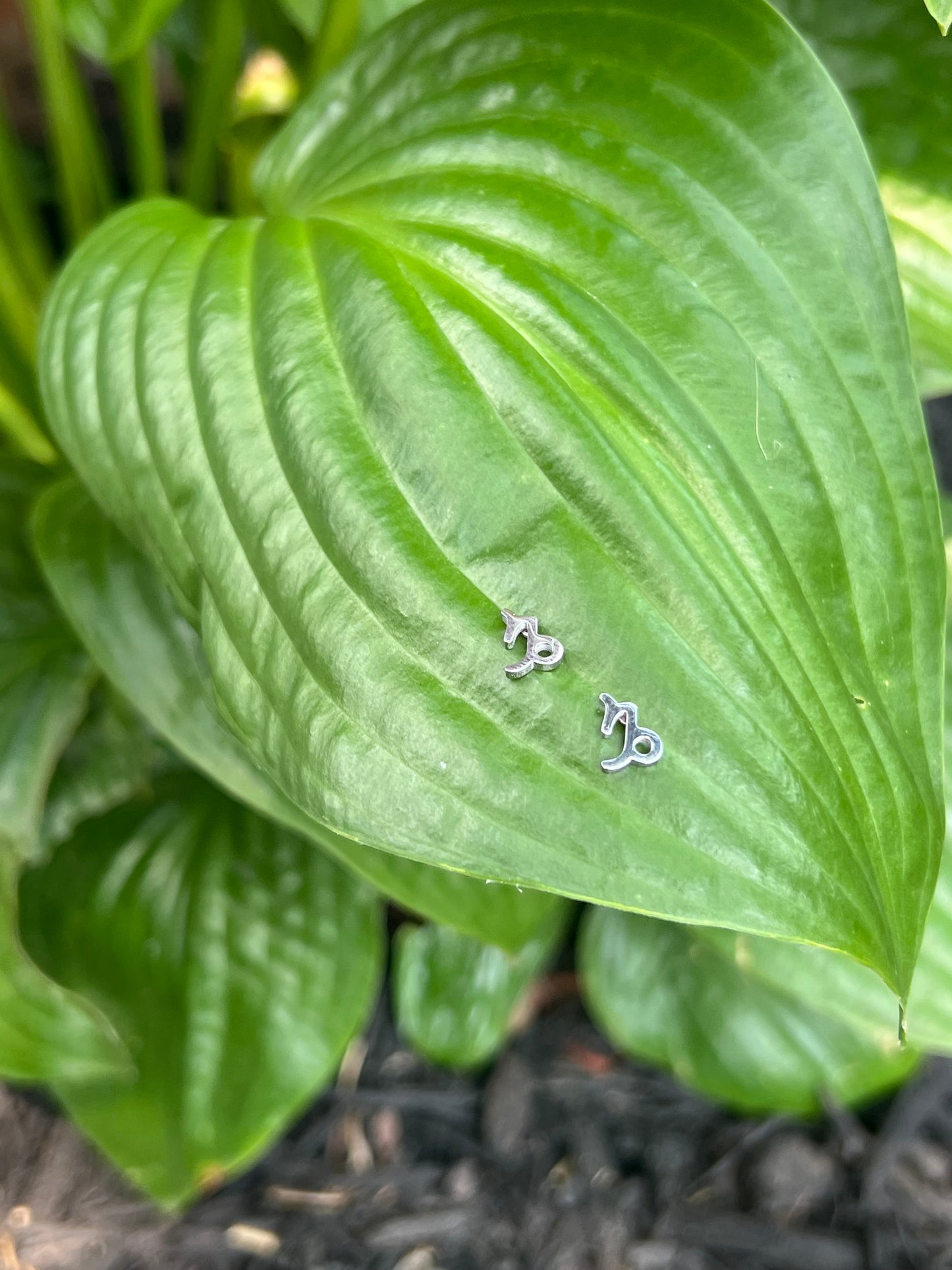 Capricorn Silver Zodiac Sign Studs ♑️