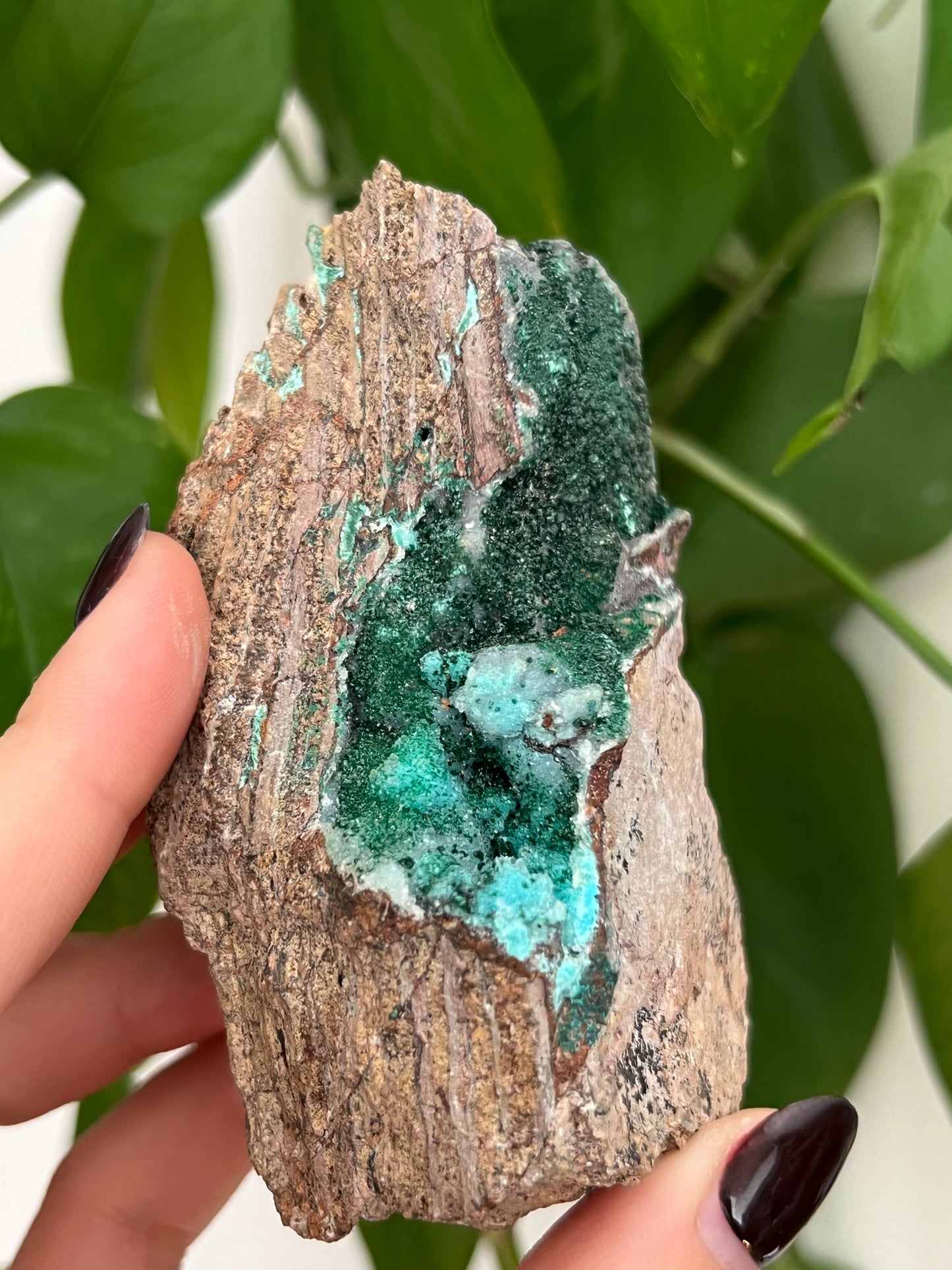 Botryoidal Malachite, Dolomite, Druzy Chrysocolla P