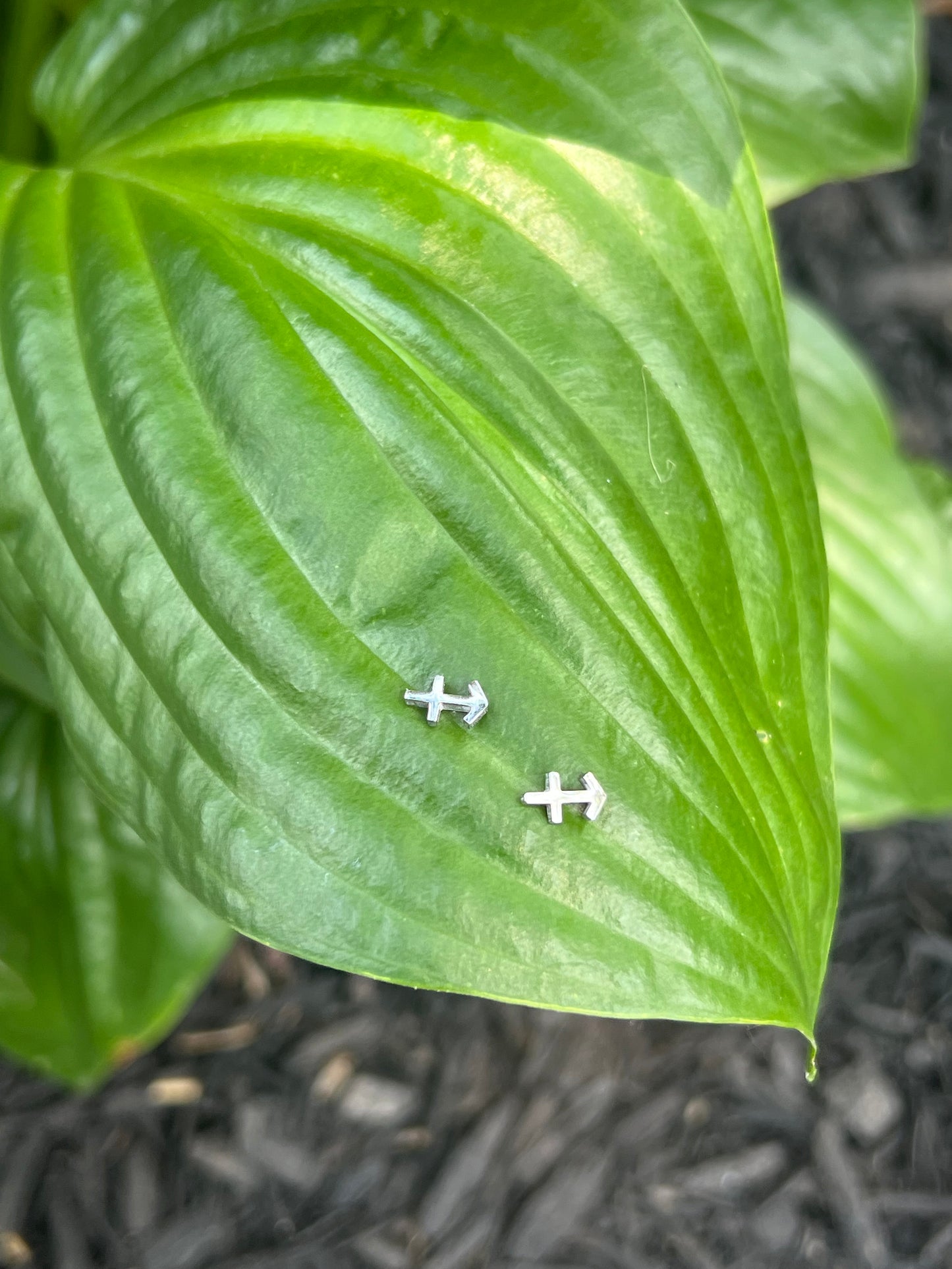 Sagittarius Silver Zodiac Sign Studs ♐️