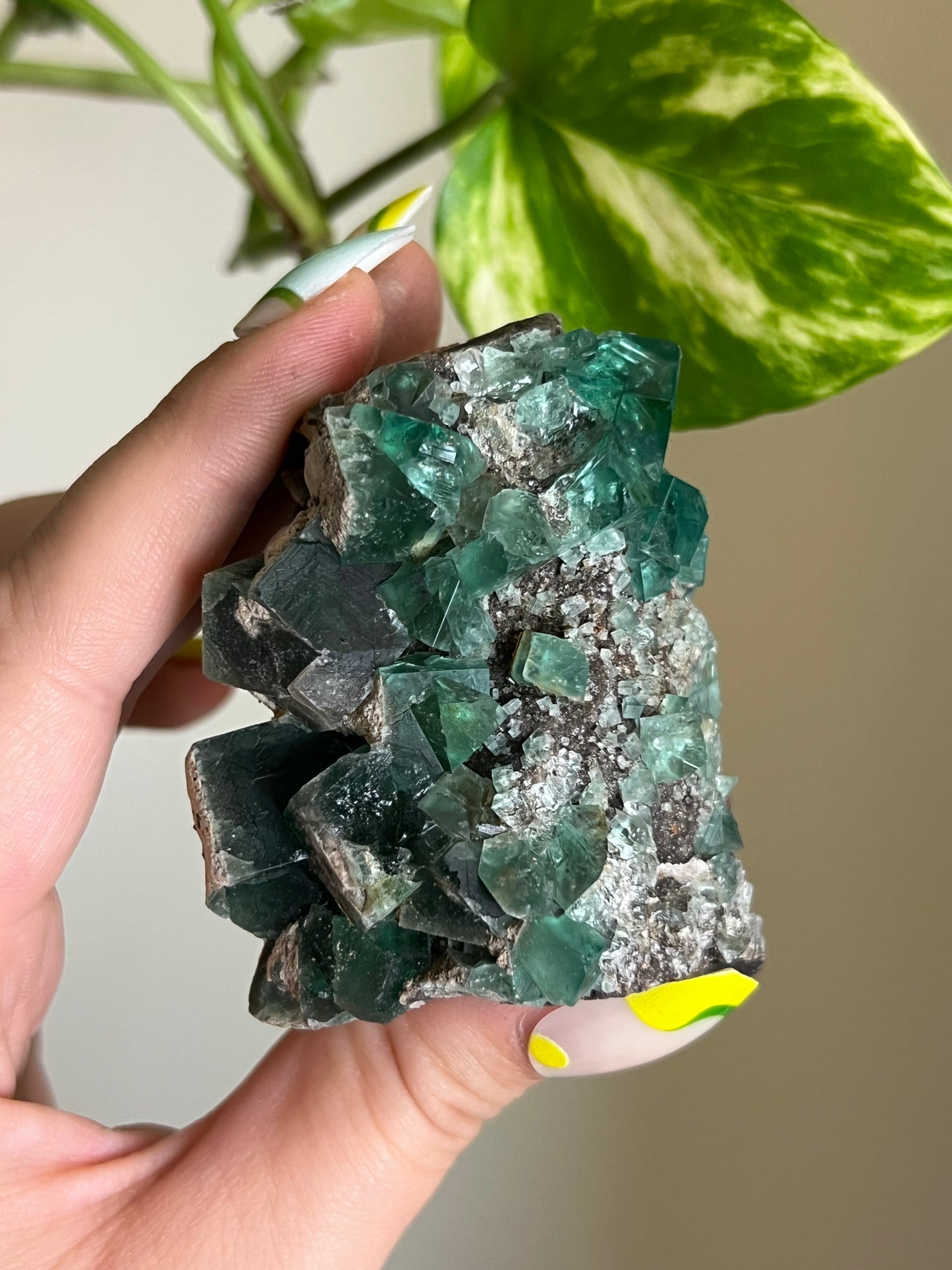 Green Cubic Fluorite Cluster - T