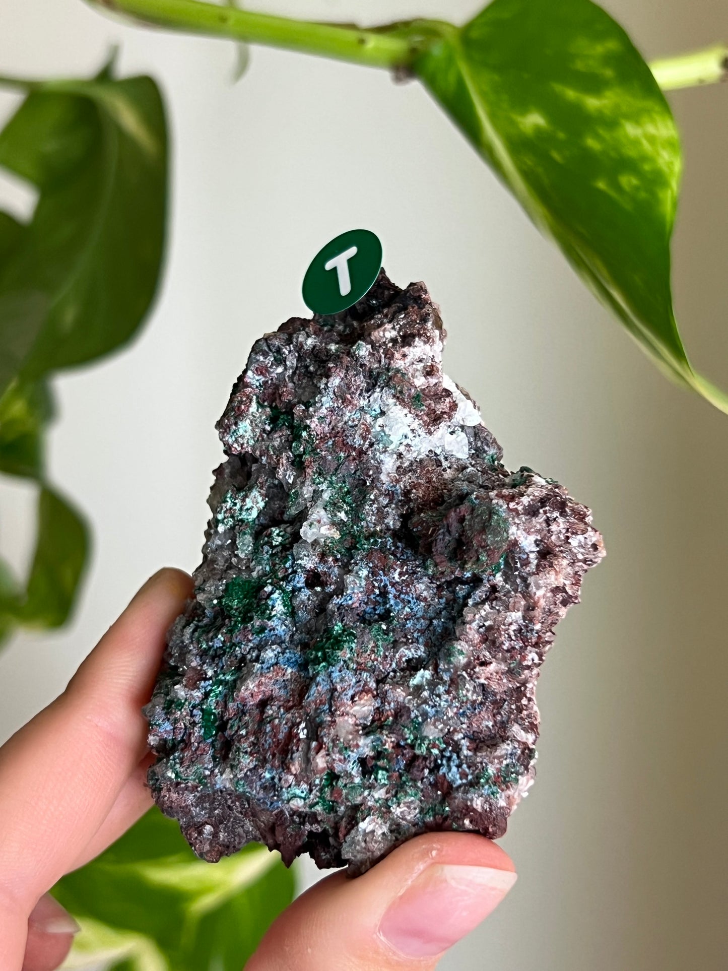 Druzy Malachite with Chrysocolla + Dolomite Sparkly Cluster - T
