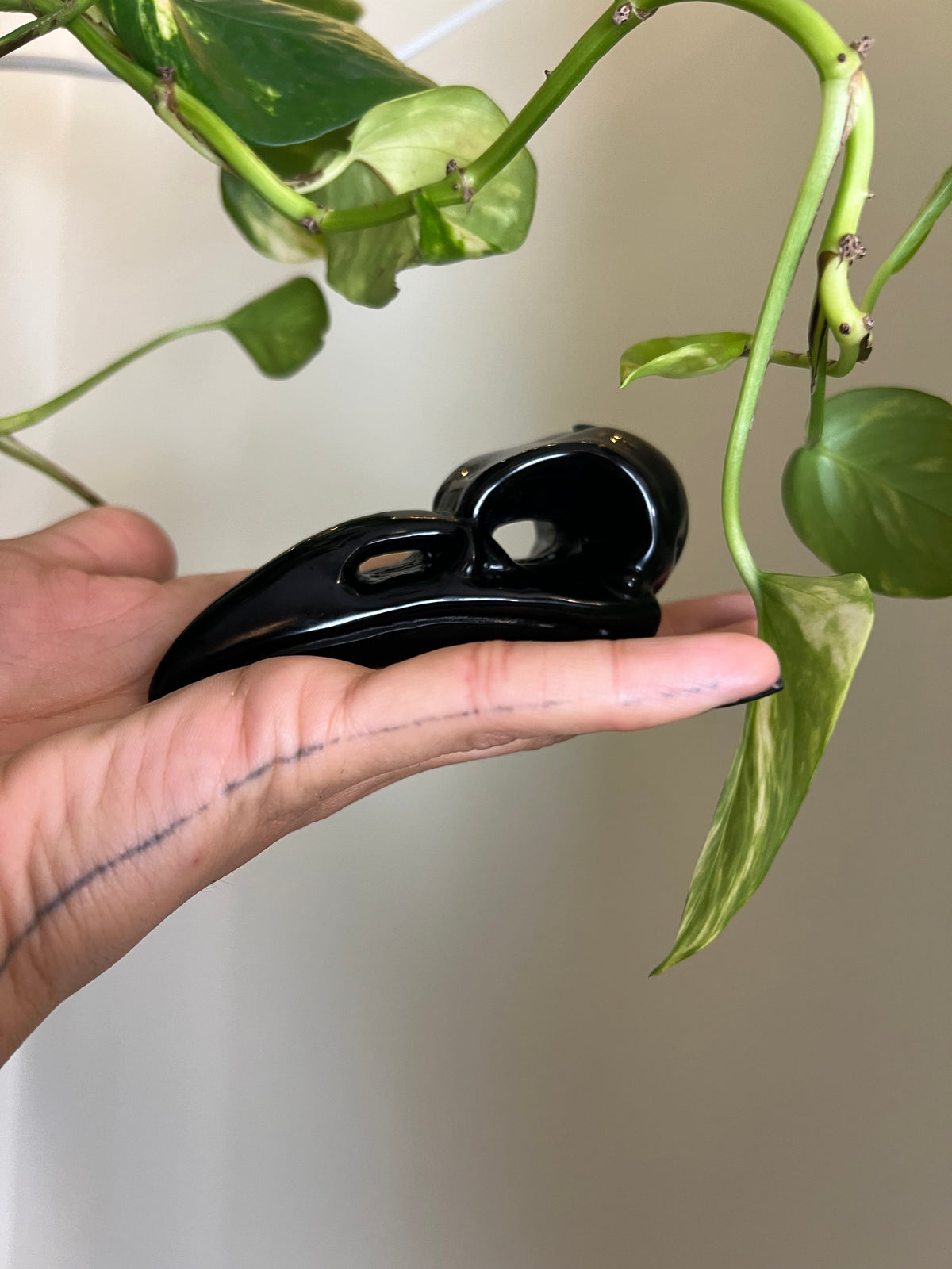 Black Obsidian Raven - Y