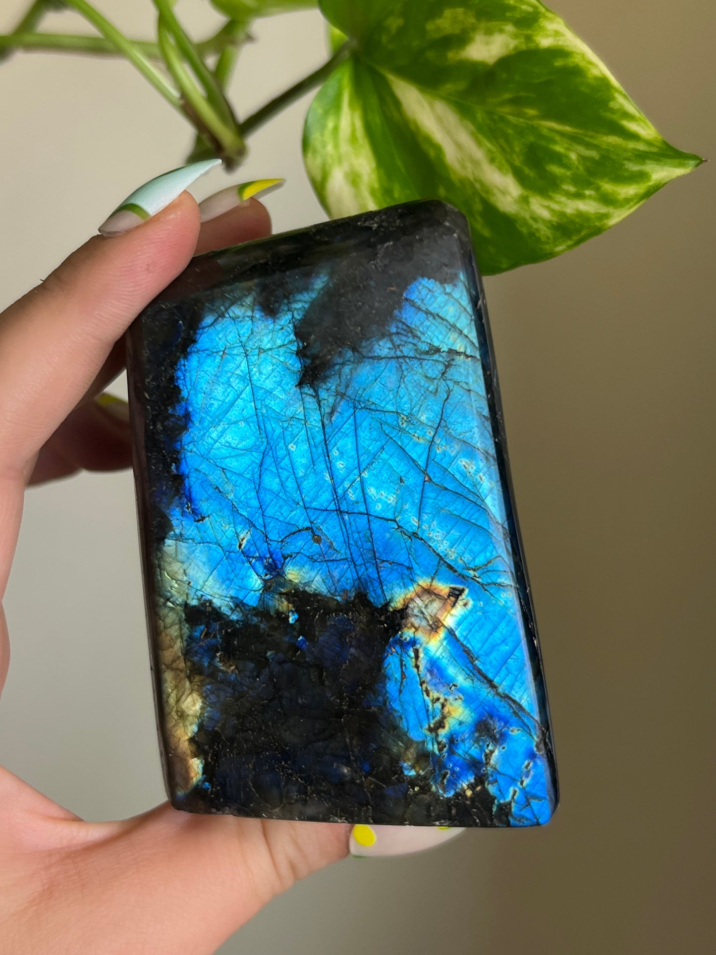 Flashy Labradorite Freeform - W