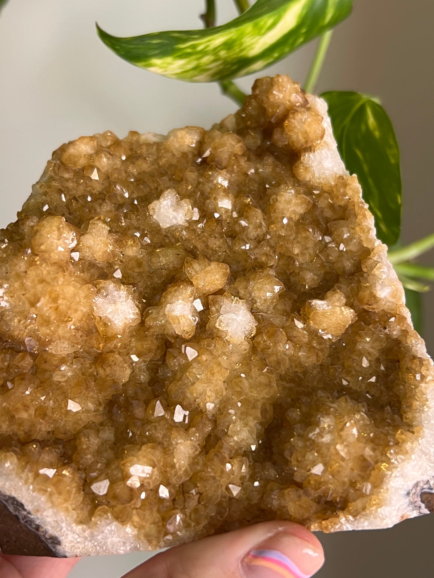 Citrine Cluster Cut Base