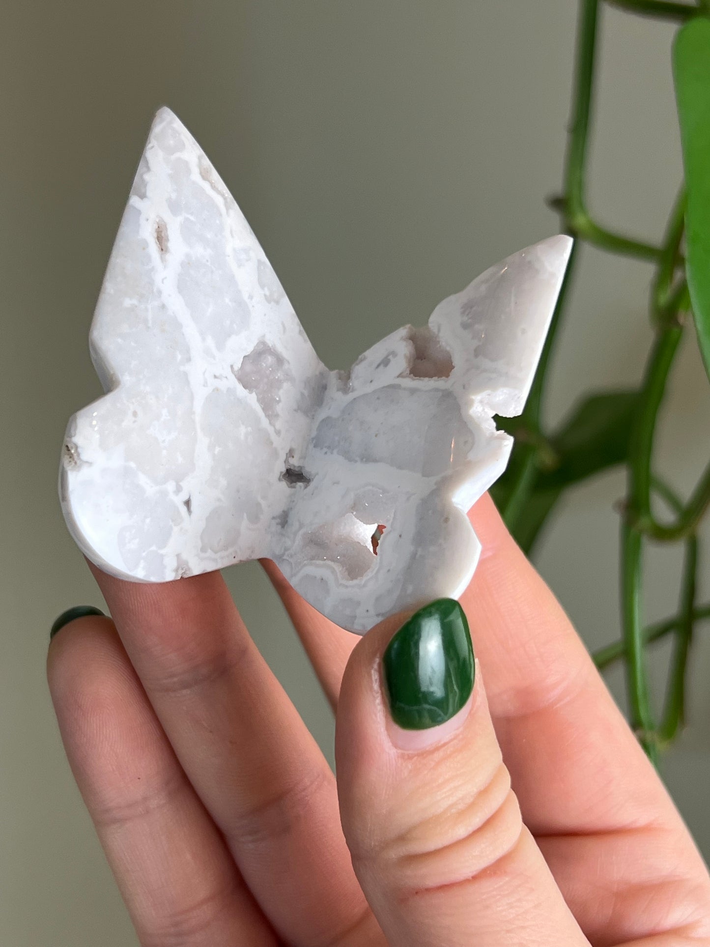 White Plume Agate Druzy 3D Butterfly