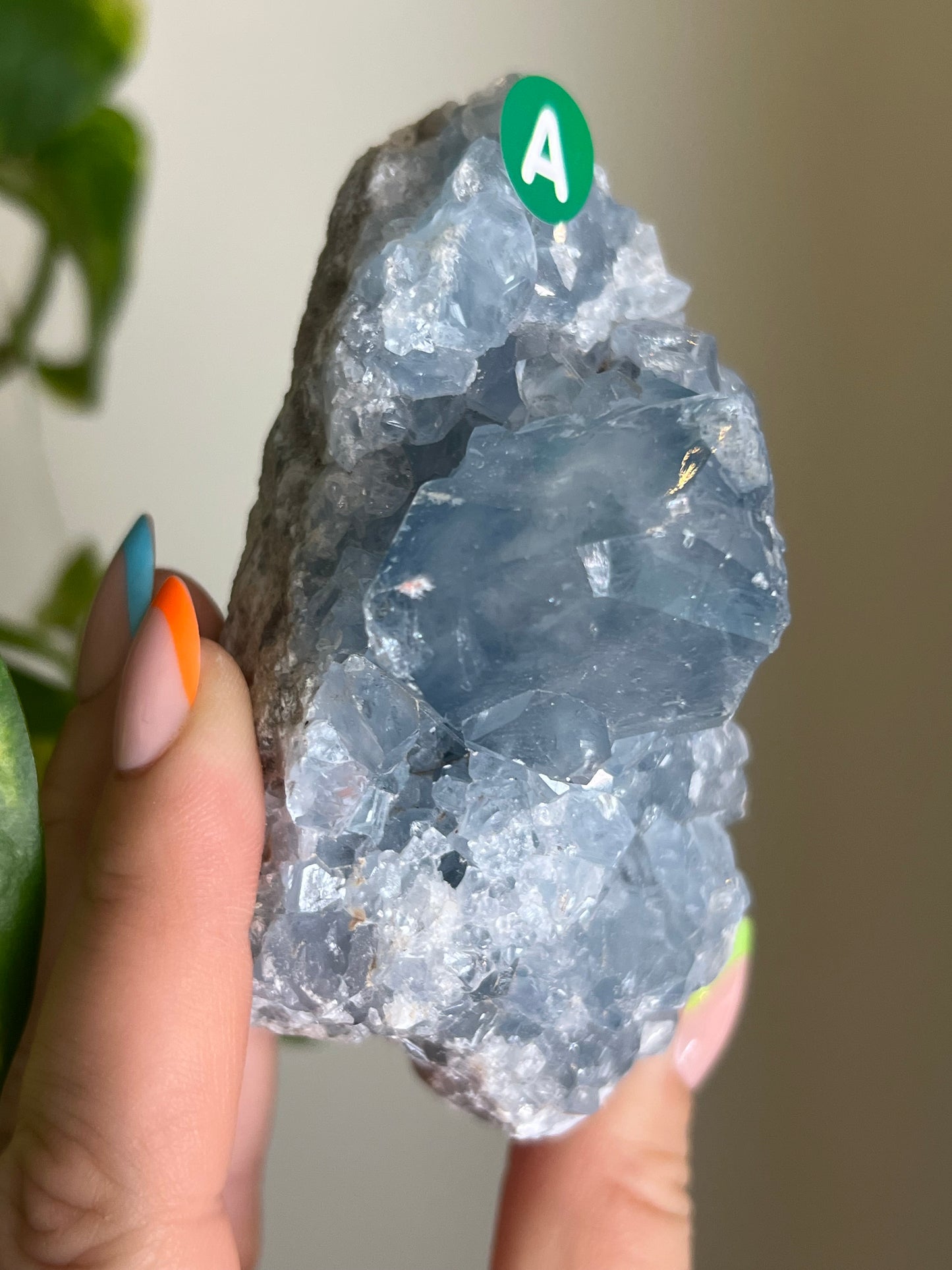 Celestite Cluster - A 🌊