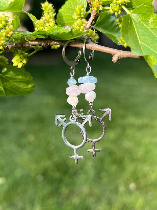 Trans Symbol Earrings