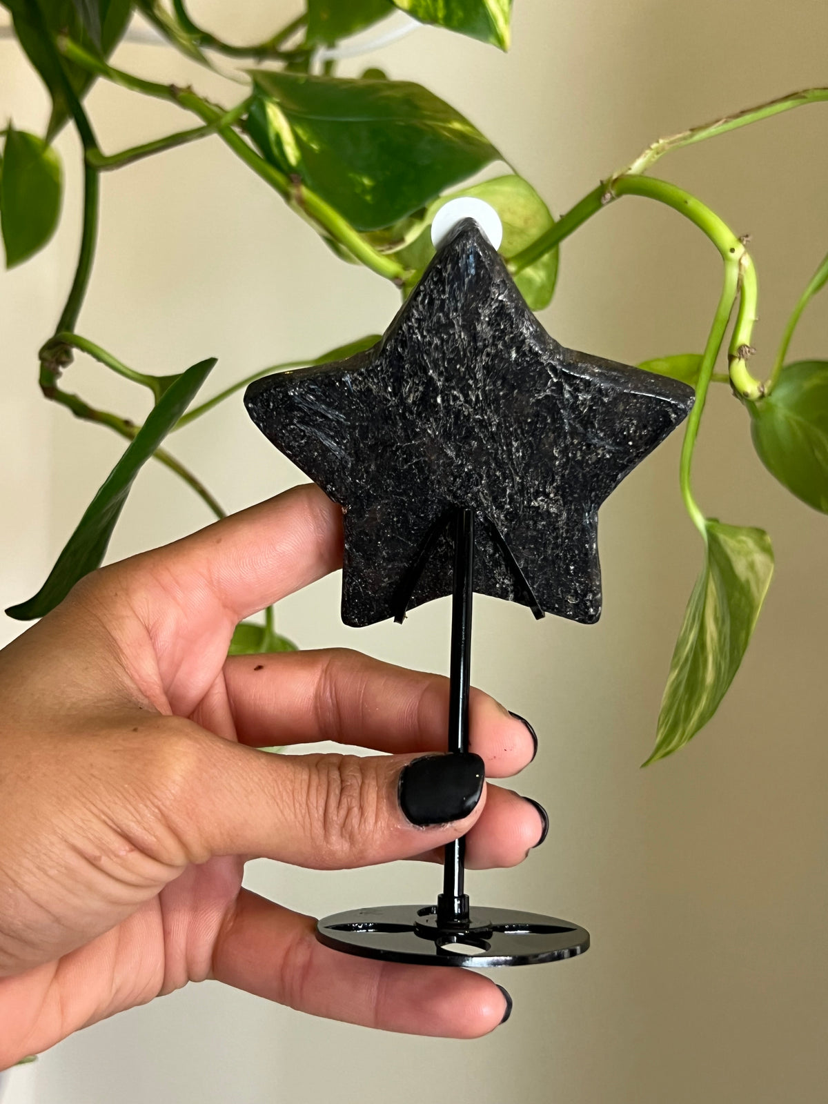 Flashy Astrophyllite Star on Stand - 1