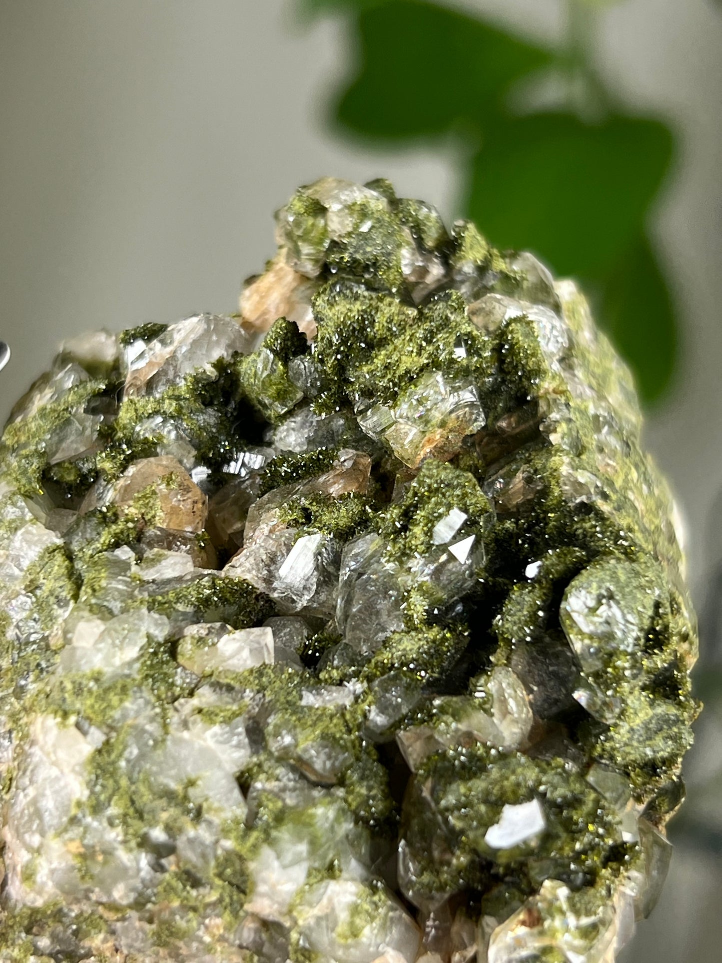 Forest Epidote Quartz Cluster - Rare - B