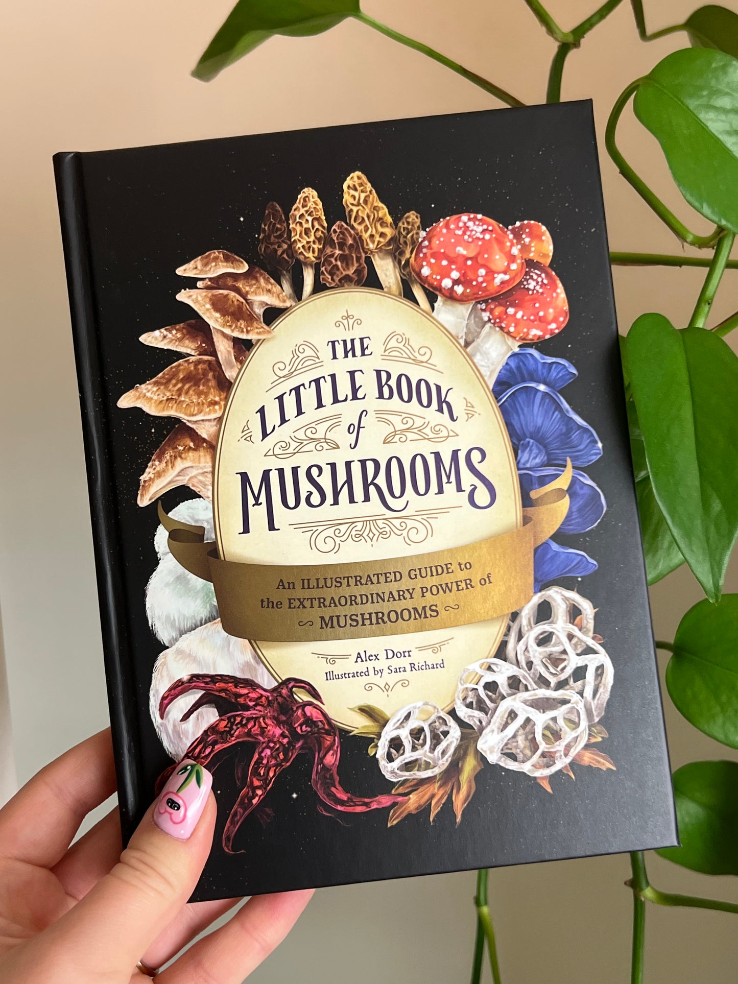 The Little Book of Mushrooms